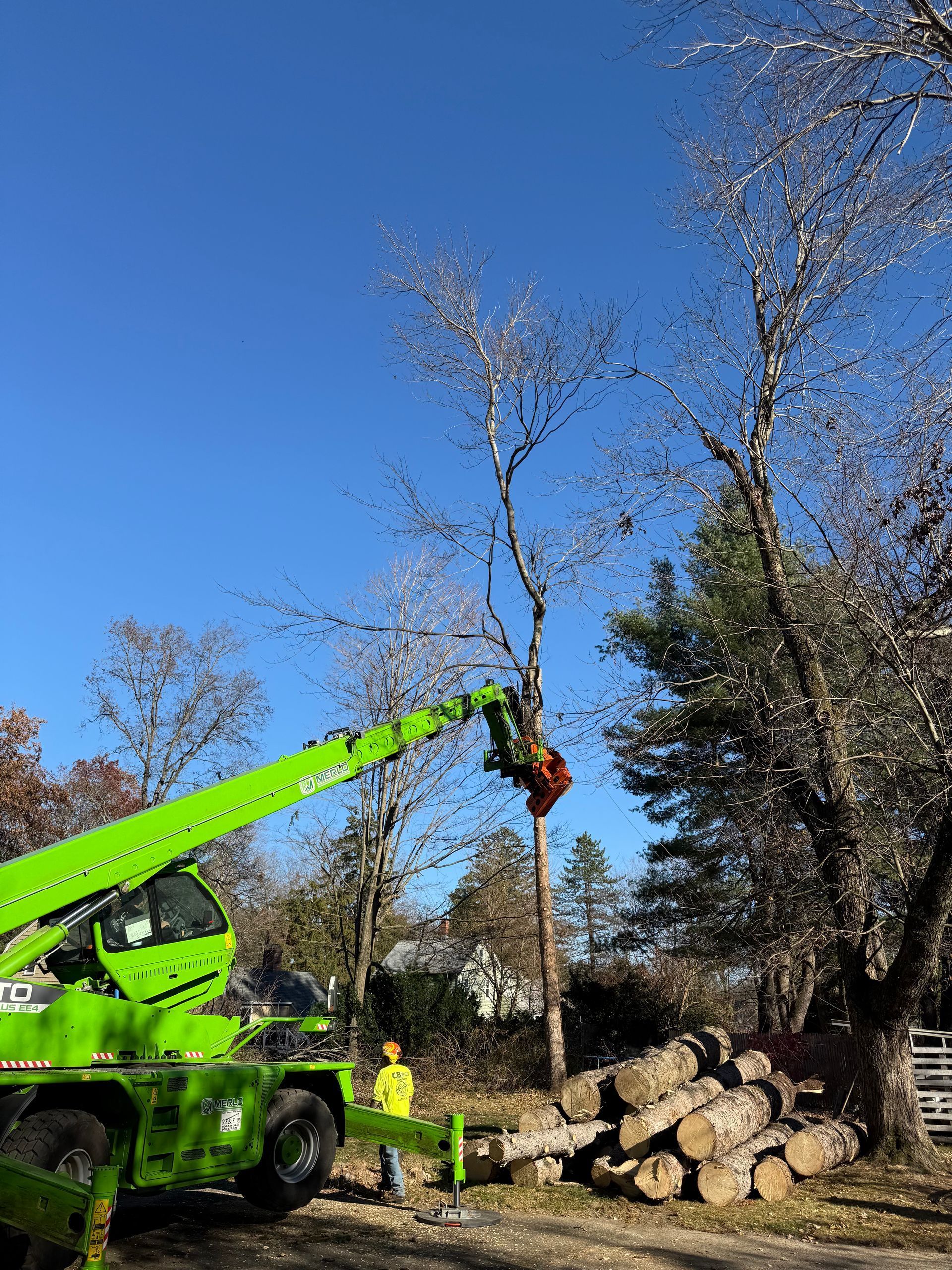 A green crane is cutting a tree in the woods.