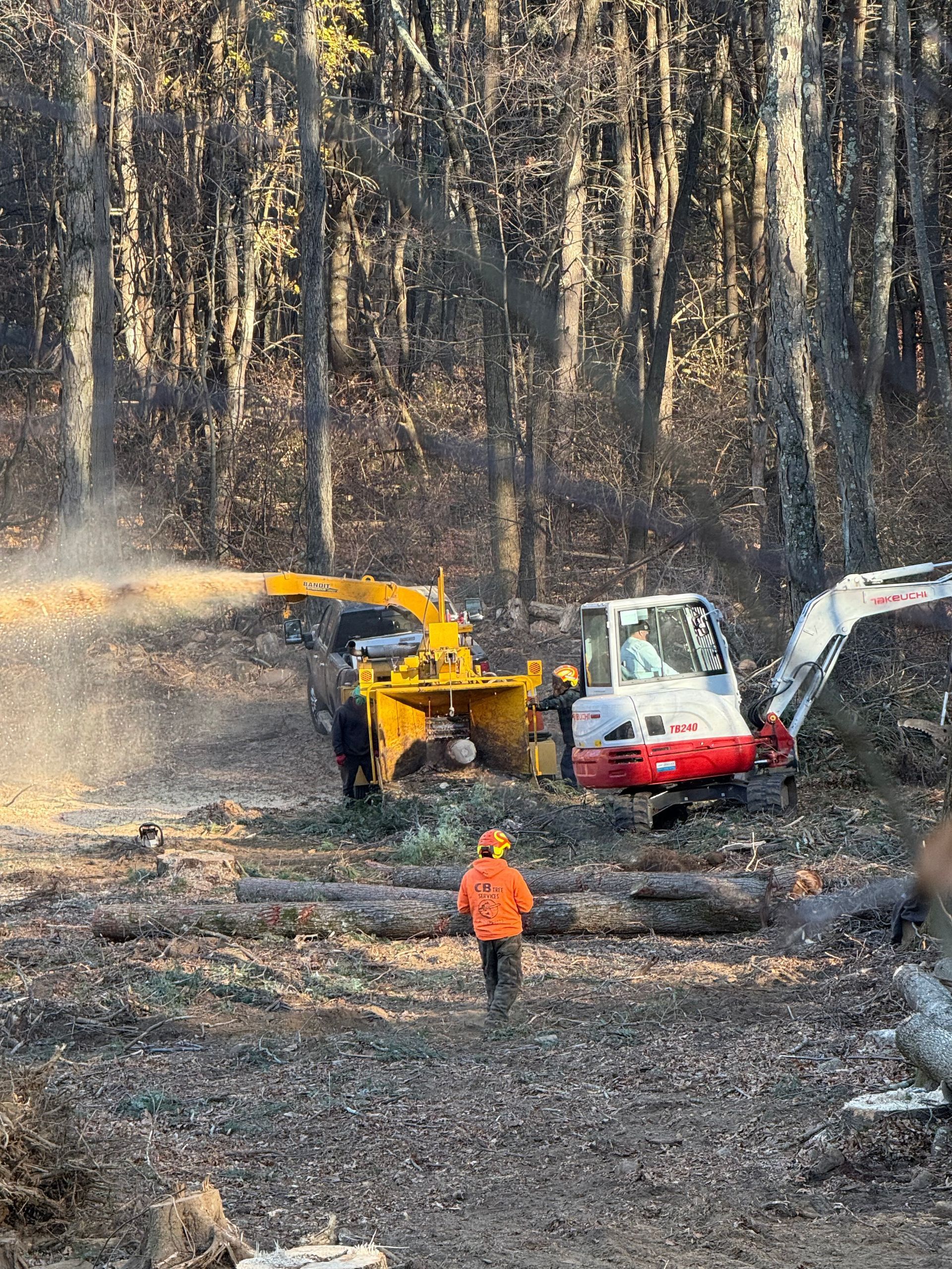 A man is standing in the middle of a forest next to a bulldozer.