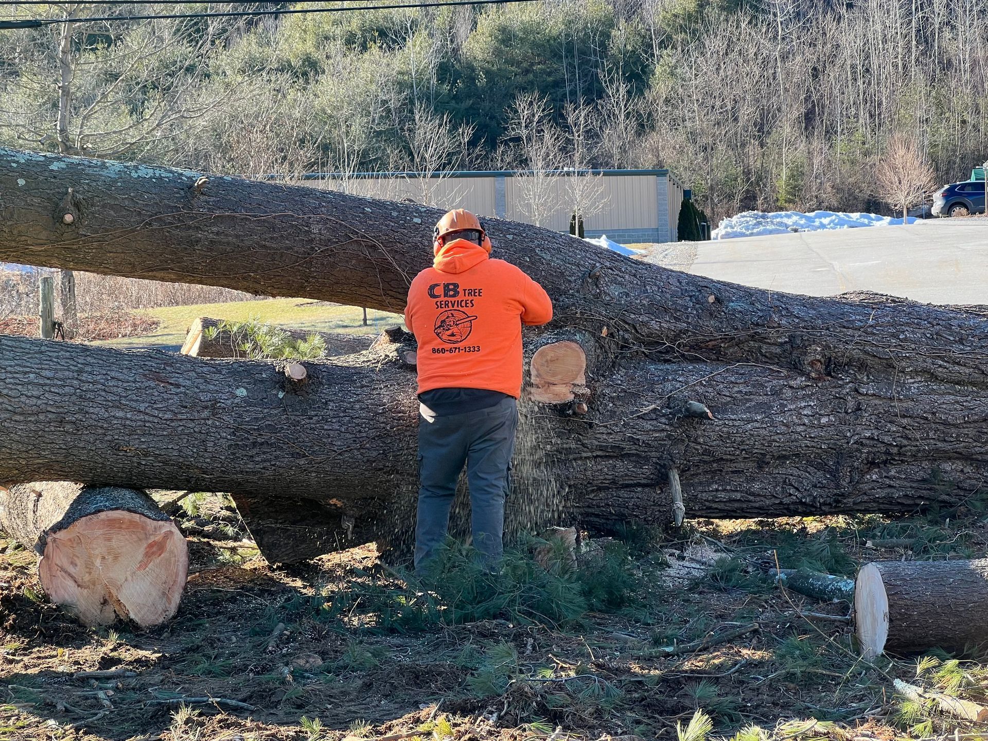 A man is cutting a tree with a chainsaw in a field.