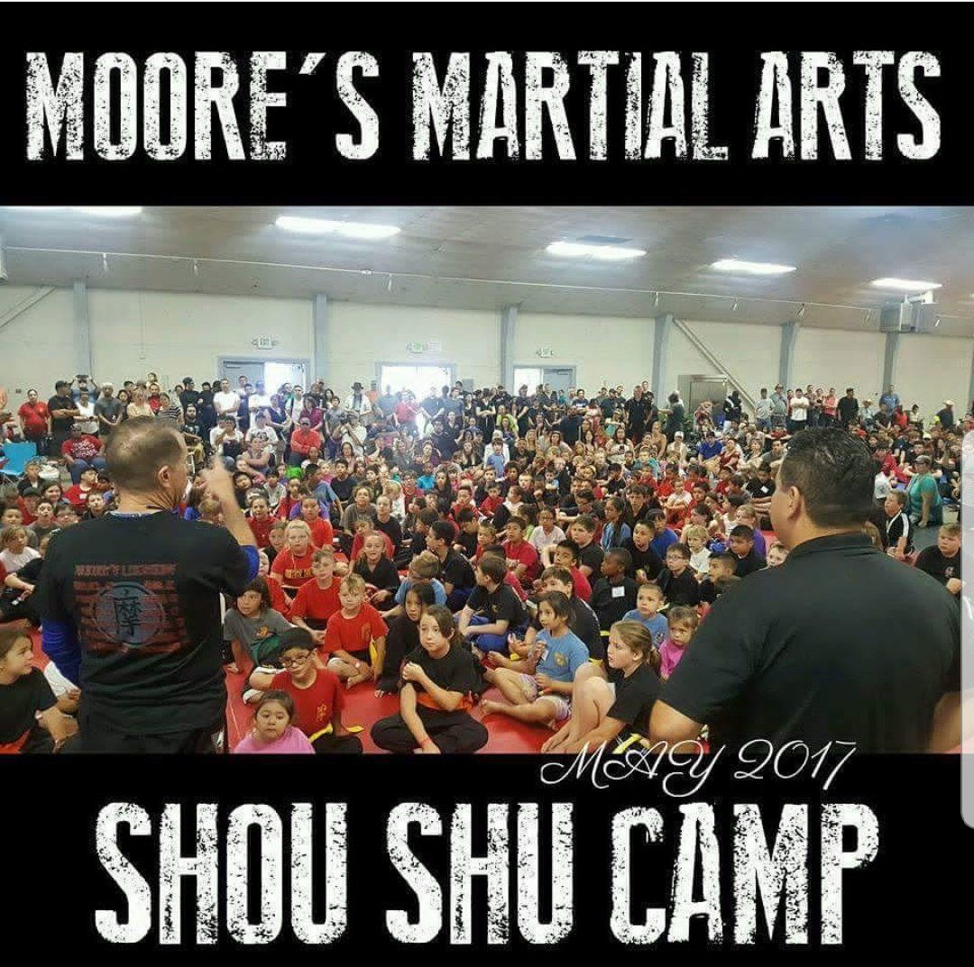 Summer Camps Martial Arts Training Moore's Martial Arts of Citrus