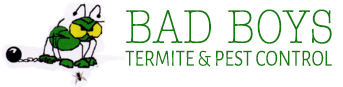 Bad Boys Termite & Pest Control LLC-Logo
