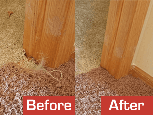 carpet restoration melbourne