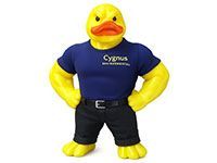 Cygnus Environmental Services, Inc.