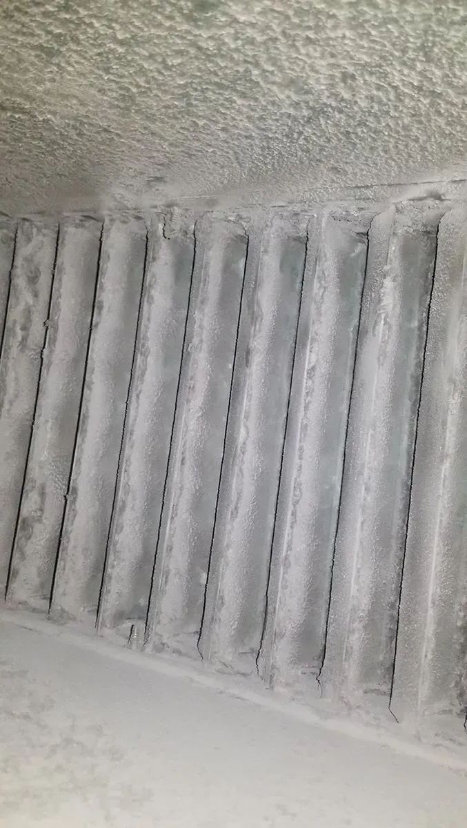 Interior of a freezer, covered in frost, showing vertical cooling coils.