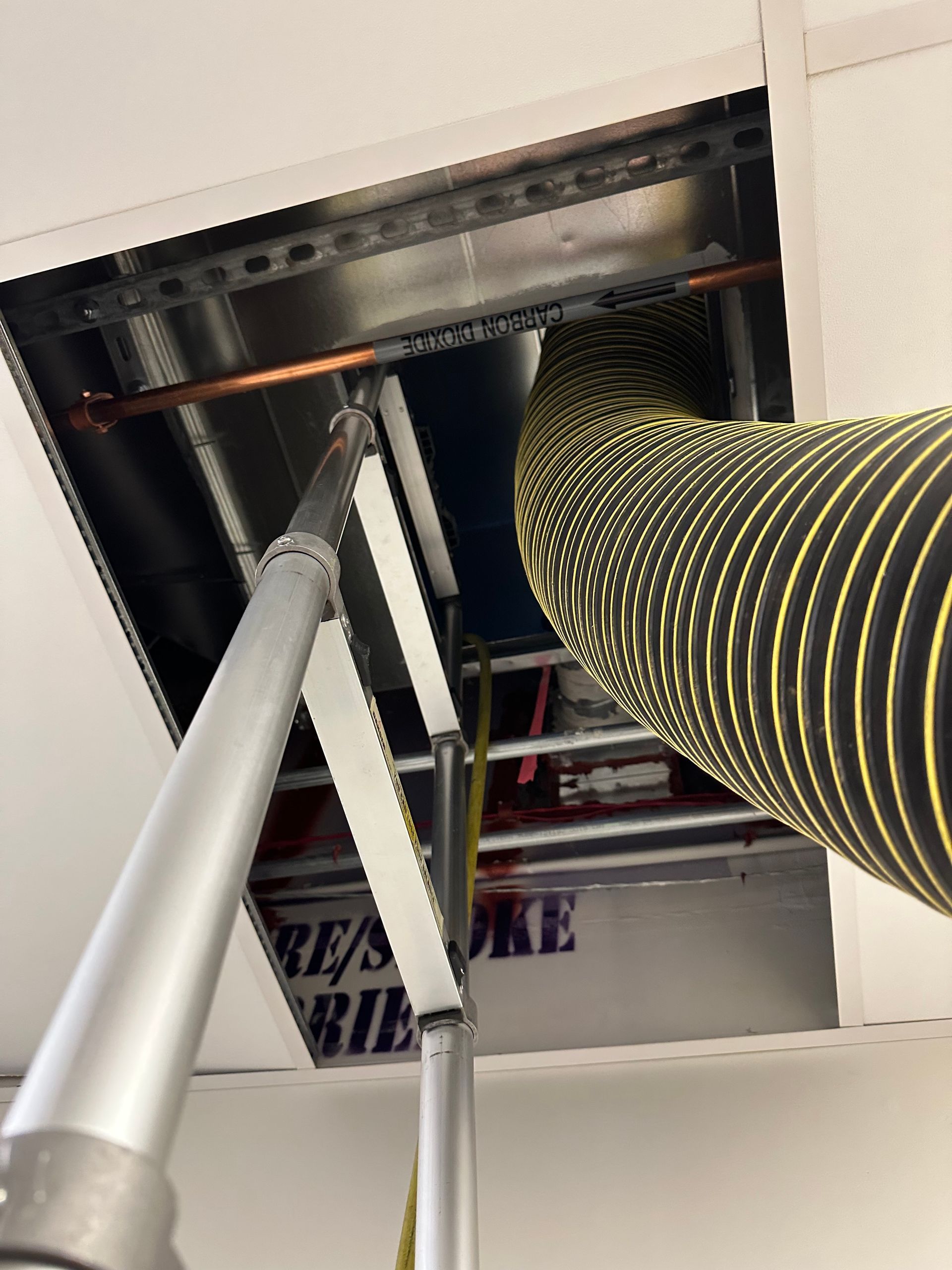 A ladder propped in a ceiling opening. Black and yellow flexible ducting and copper pipe visible.