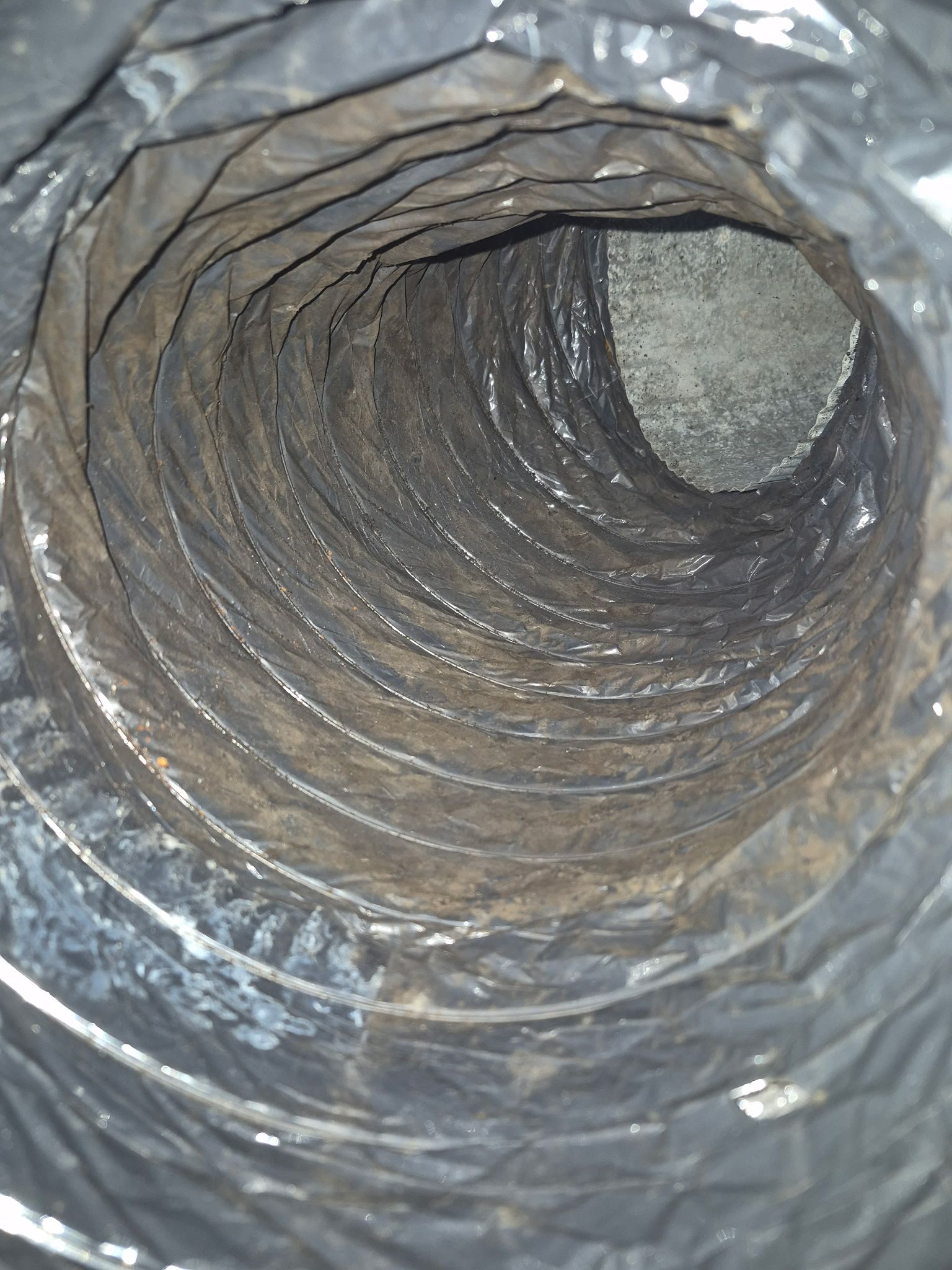 Interior view of a dirty, flexible duct with dark residue and mold.