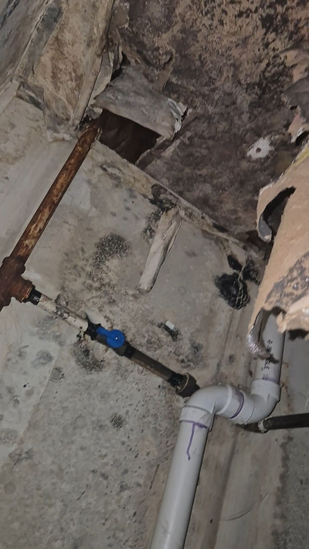 Moldy basement corner with pipes and a blue valve. Dark, damp concrete.