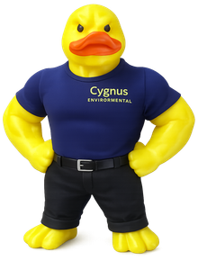 A muscular yellow rubber duck wearing a blue T-shirt with 