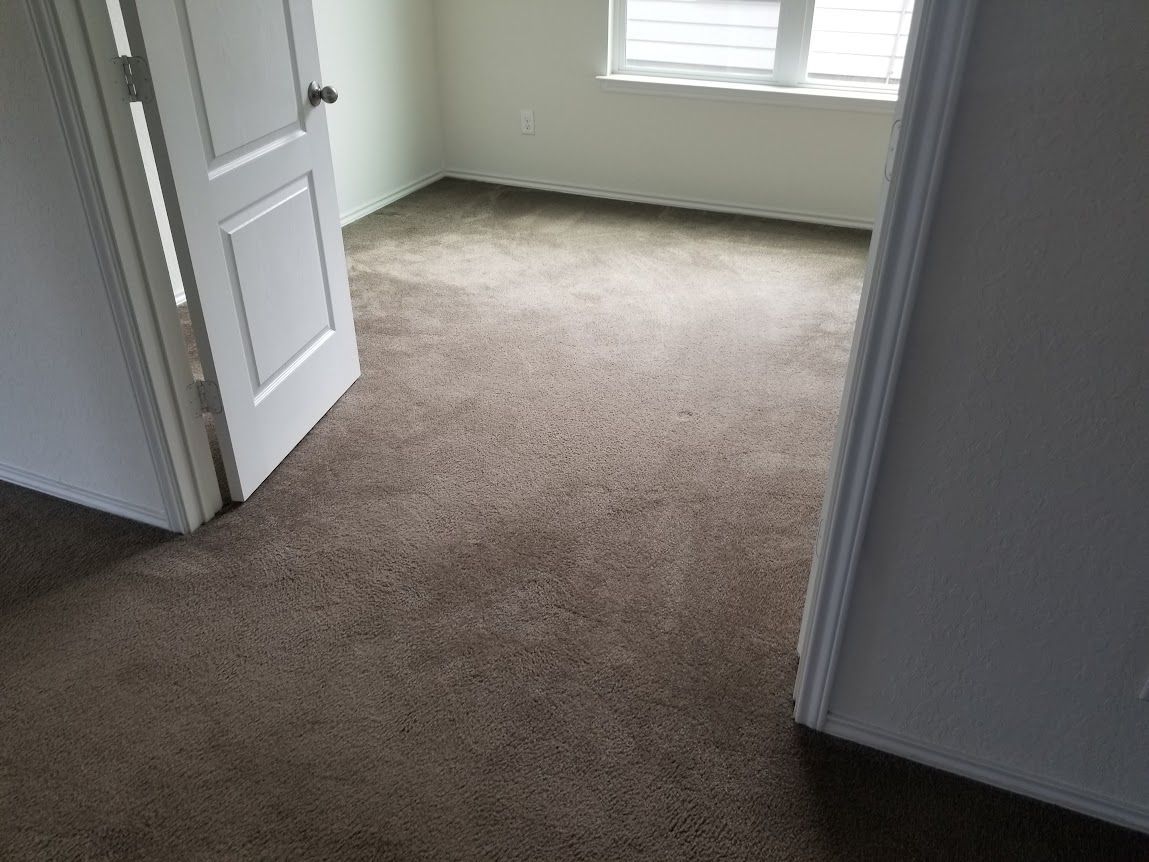 A bedroom with a brown carpet and a white door