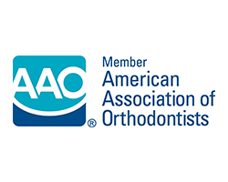 American Association of Orthodontists