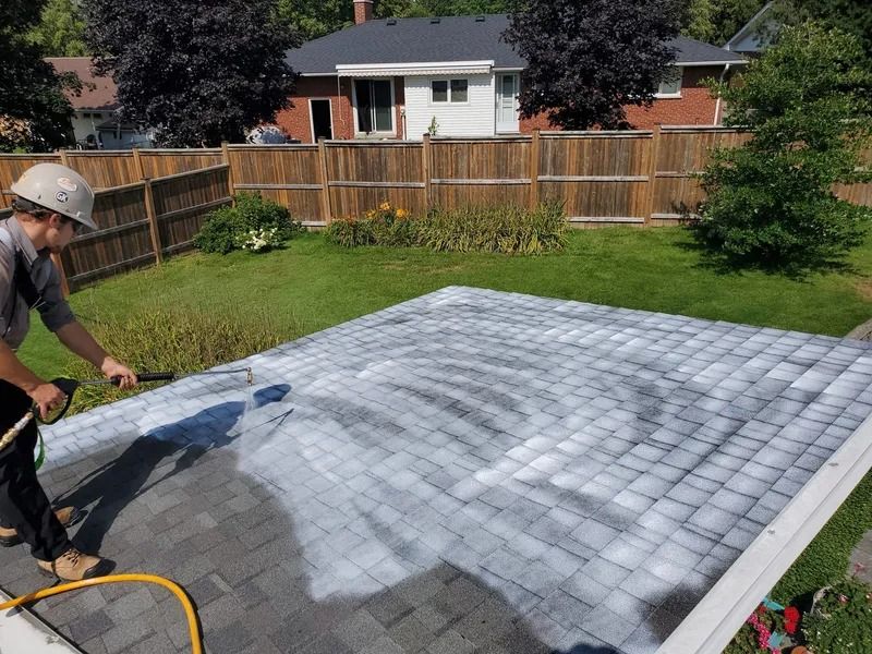 Person cleaning a shingled roof with a sprayer in a sunny backyard.