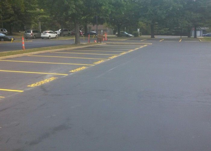 Empty parking lot with yellow-painted no-parking lines and trees in the background