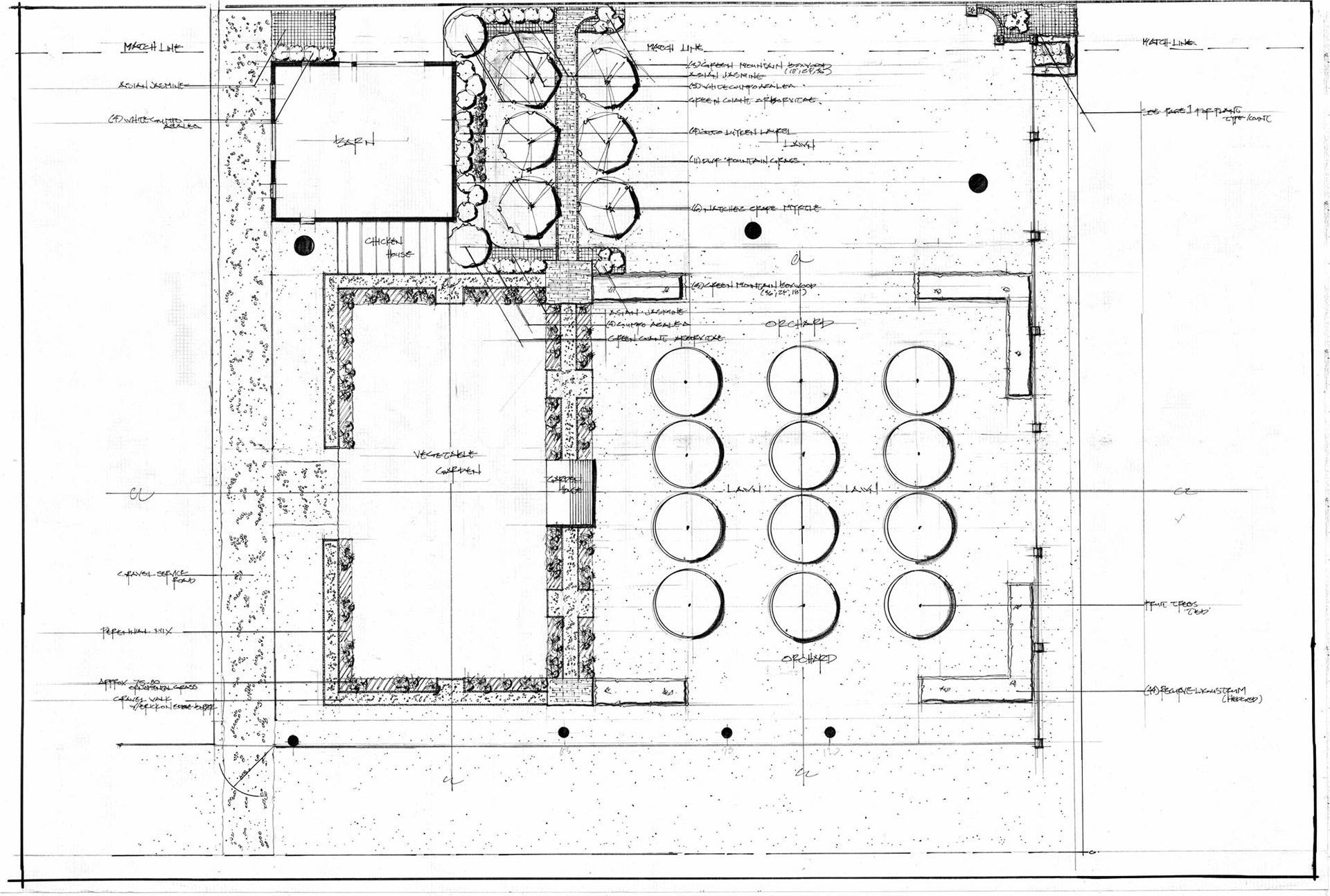 a black and white drawing of a landscape design