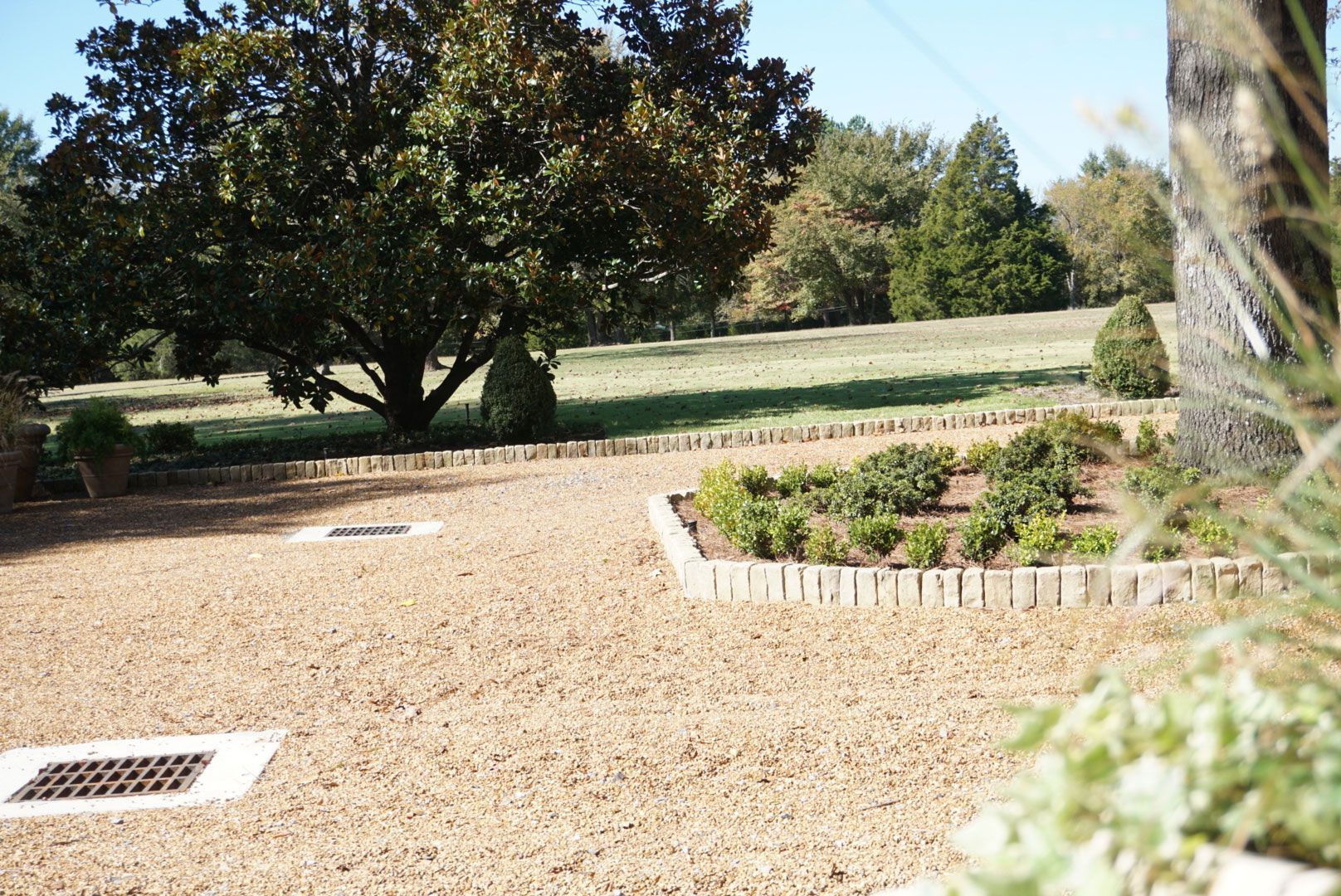 a gravel driveway with landscaping and a tree in the background