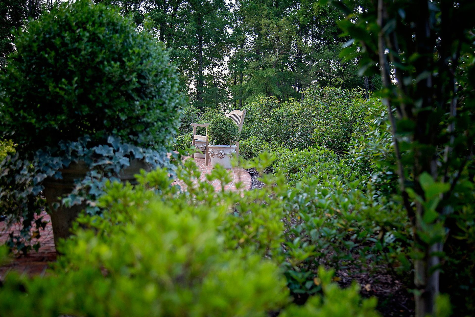 a garden filled with lots of green plants and trees .
