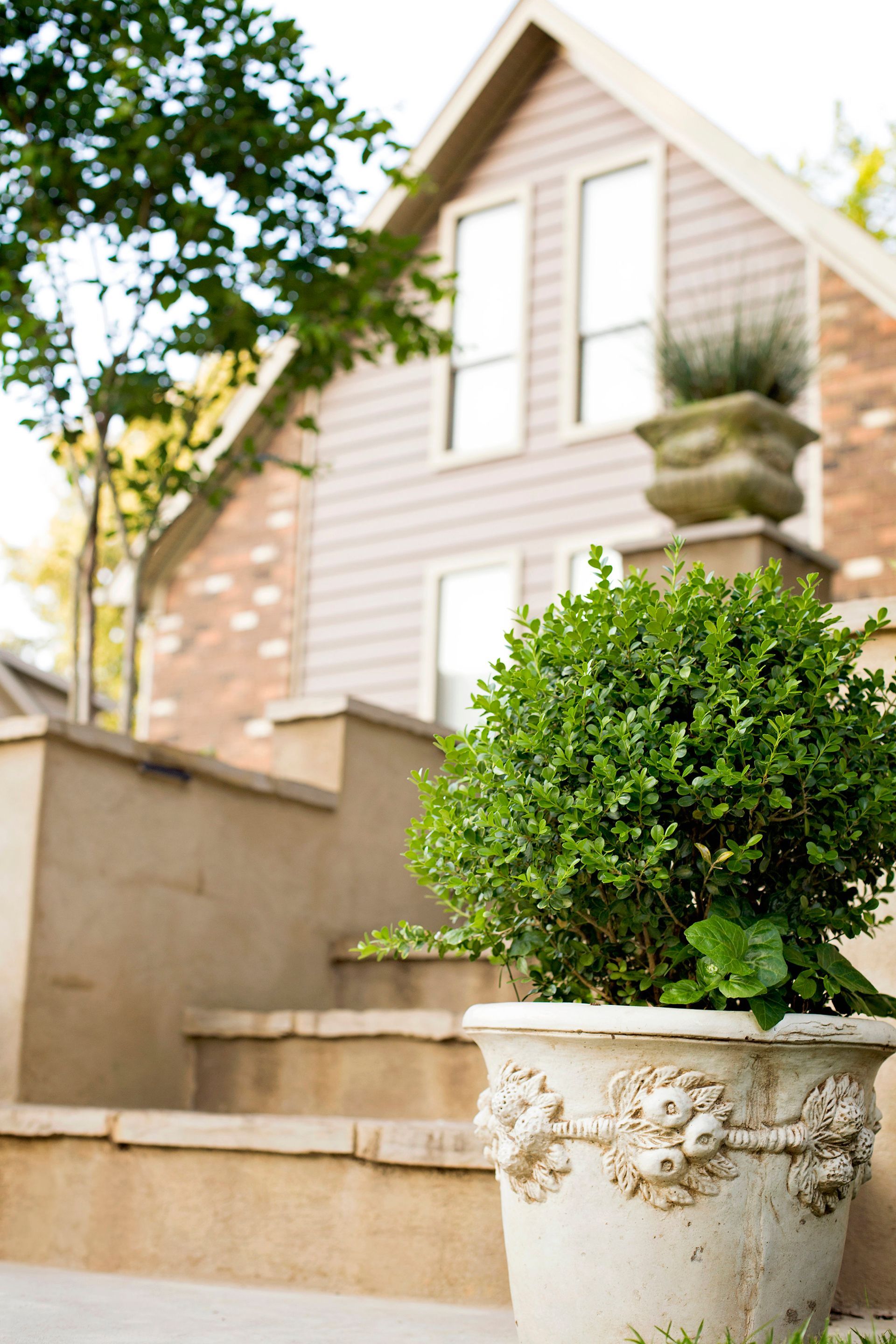a potted plant is sitting on a set of stairs in front of a house .