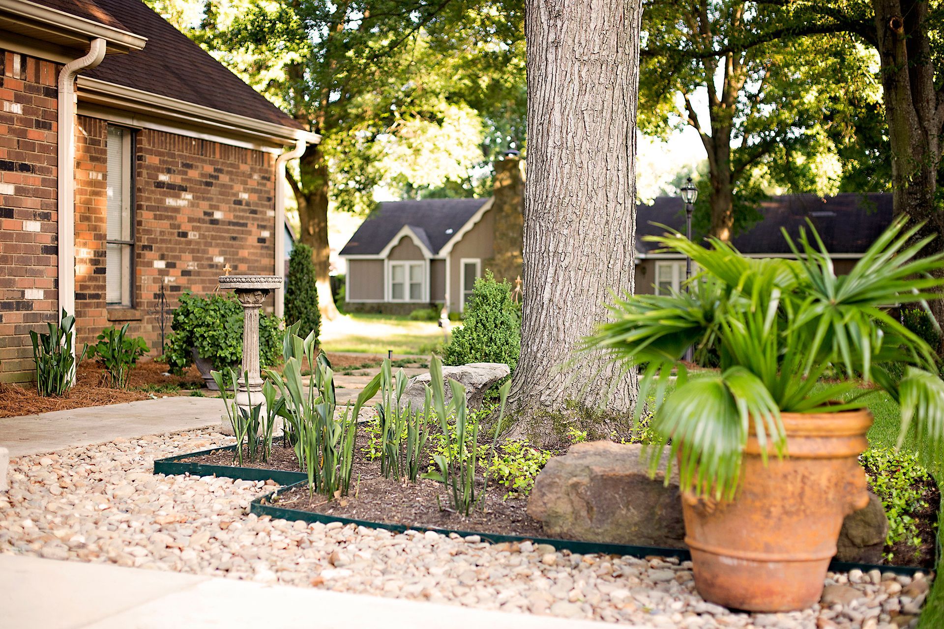 a potted plant is in front of a brick house