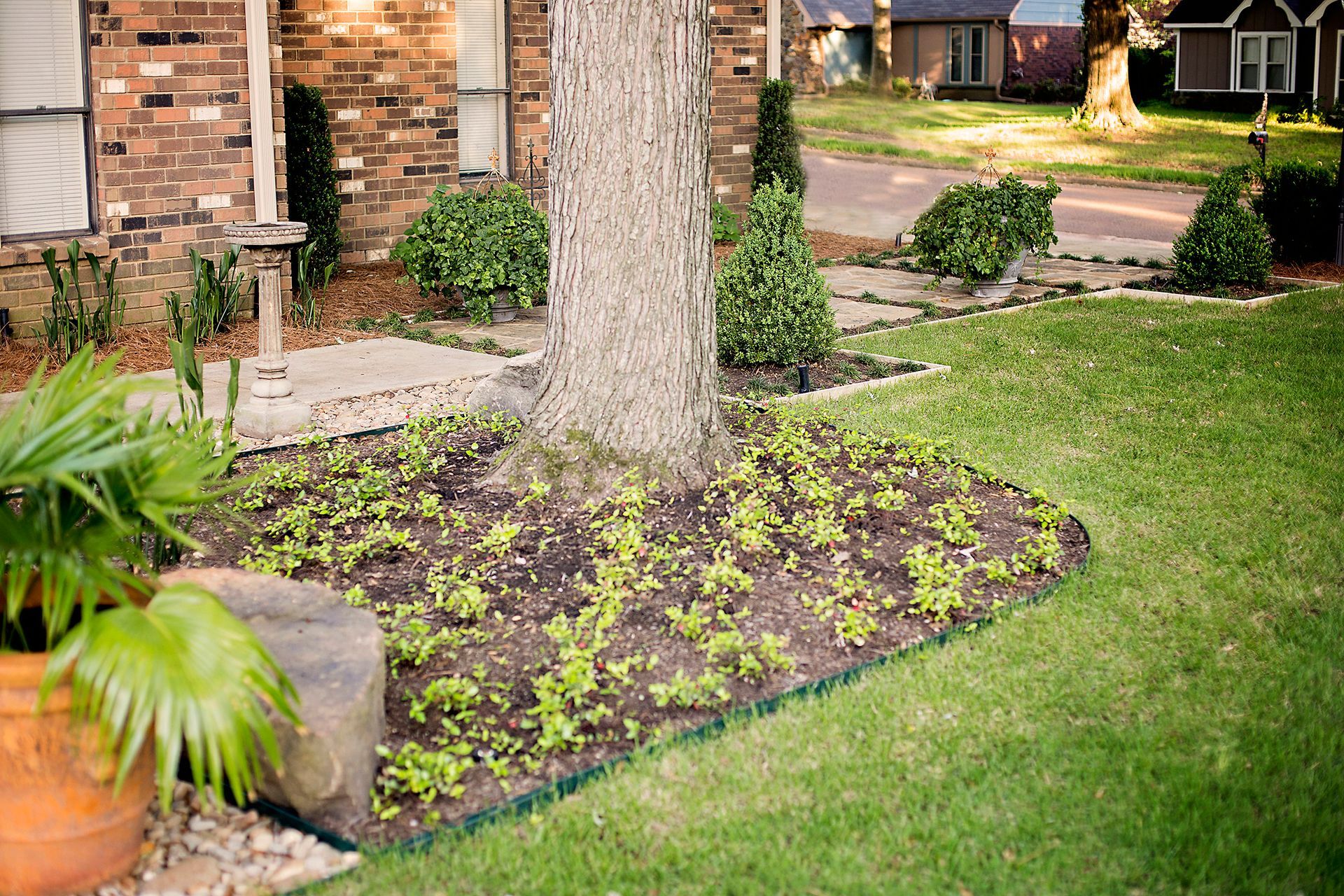 a lawn with a tree in the middle of it