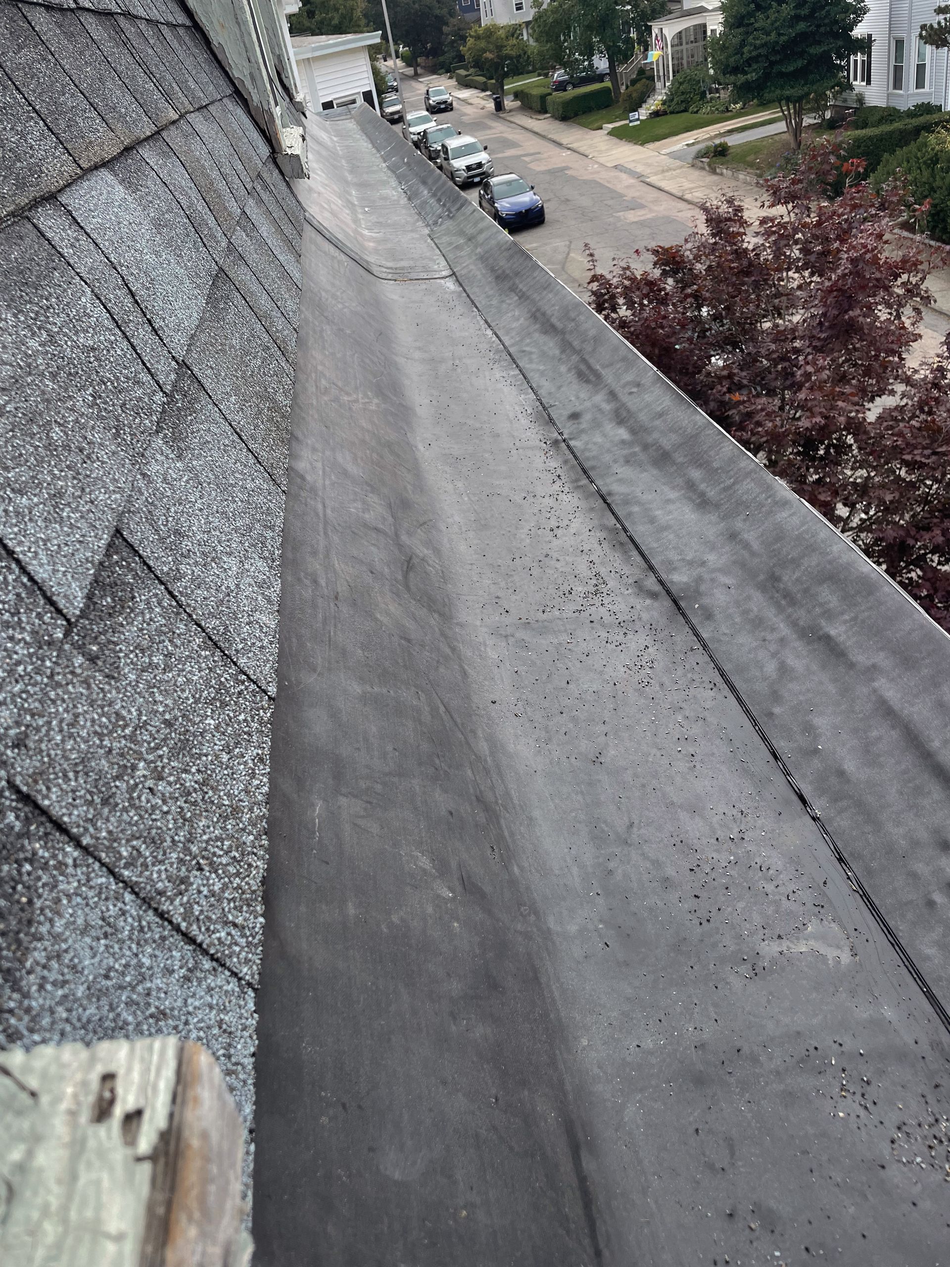 Gutters and shingles on roof