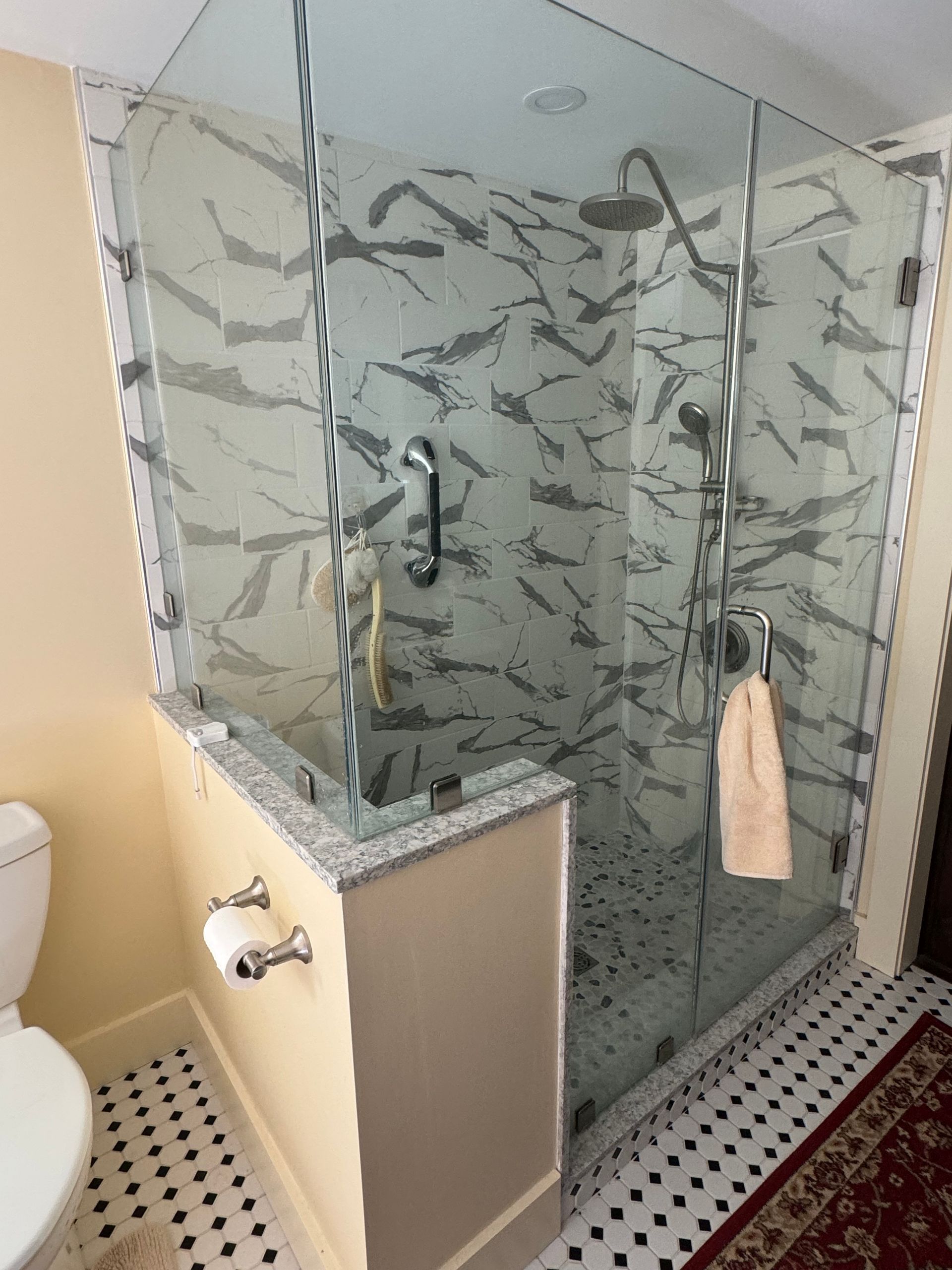 A bathroom with a toilet and a walk in shower