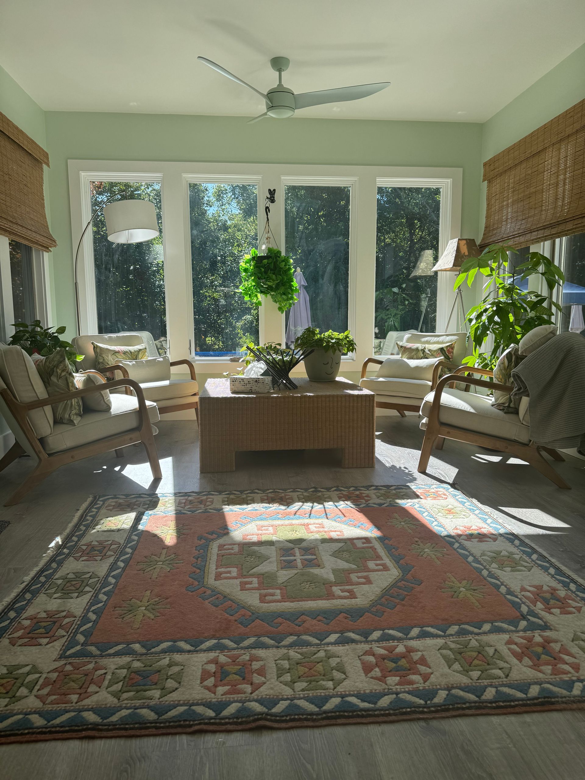 A living room with a rug, a ceiling fan, glass windows, and window blinds
