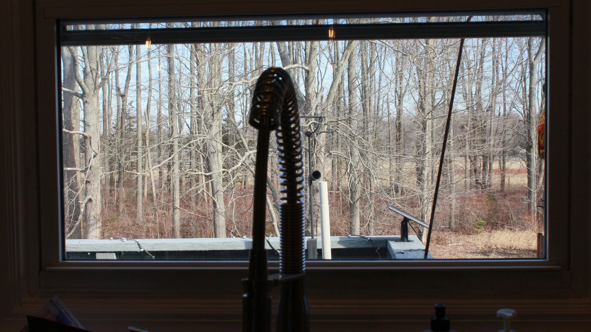 Window view of bare trees and a dark, decorative object in the foreground.