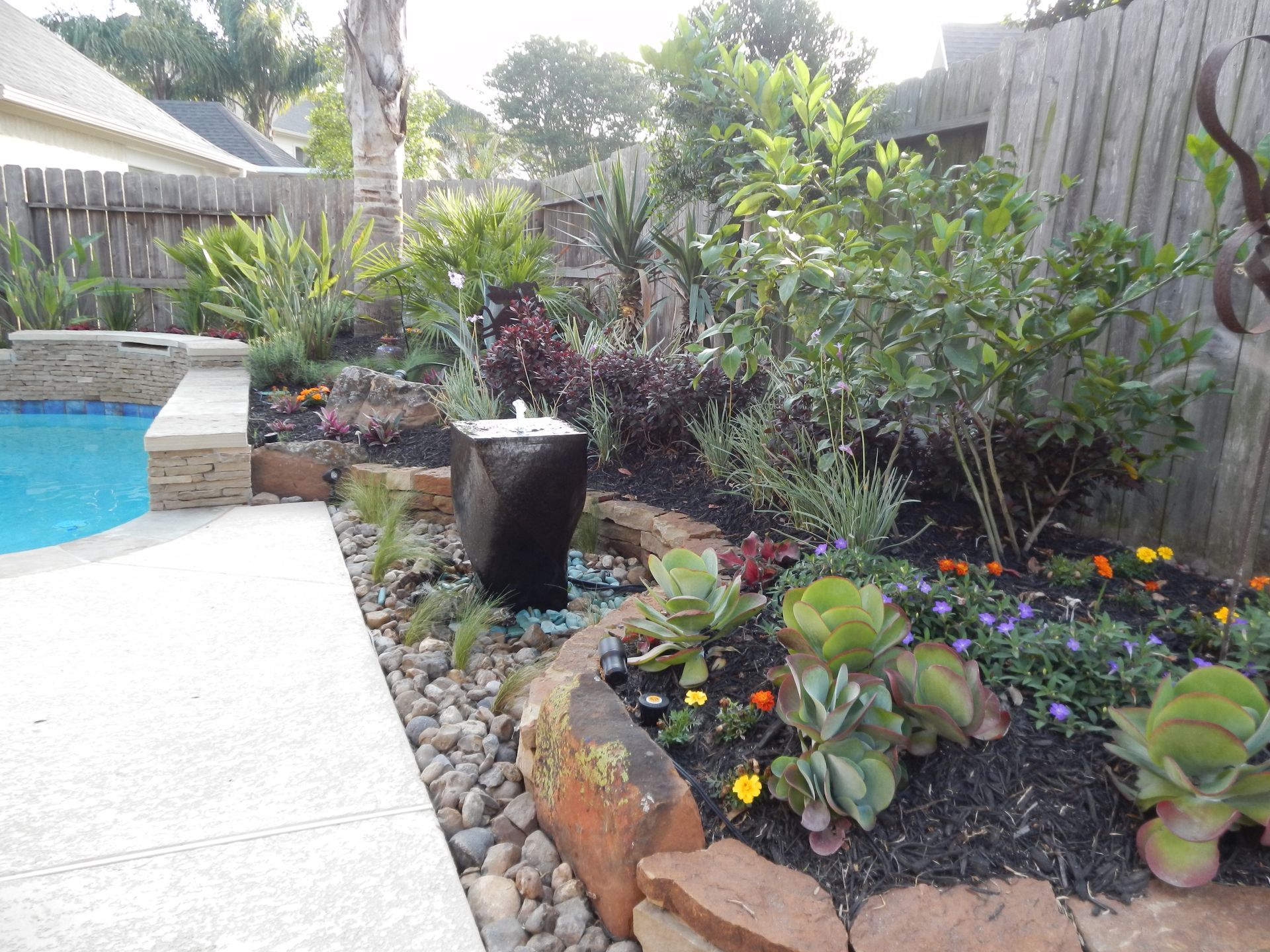 Backyard garden beside a pool, with rocks, tropical plants, and a black planter.