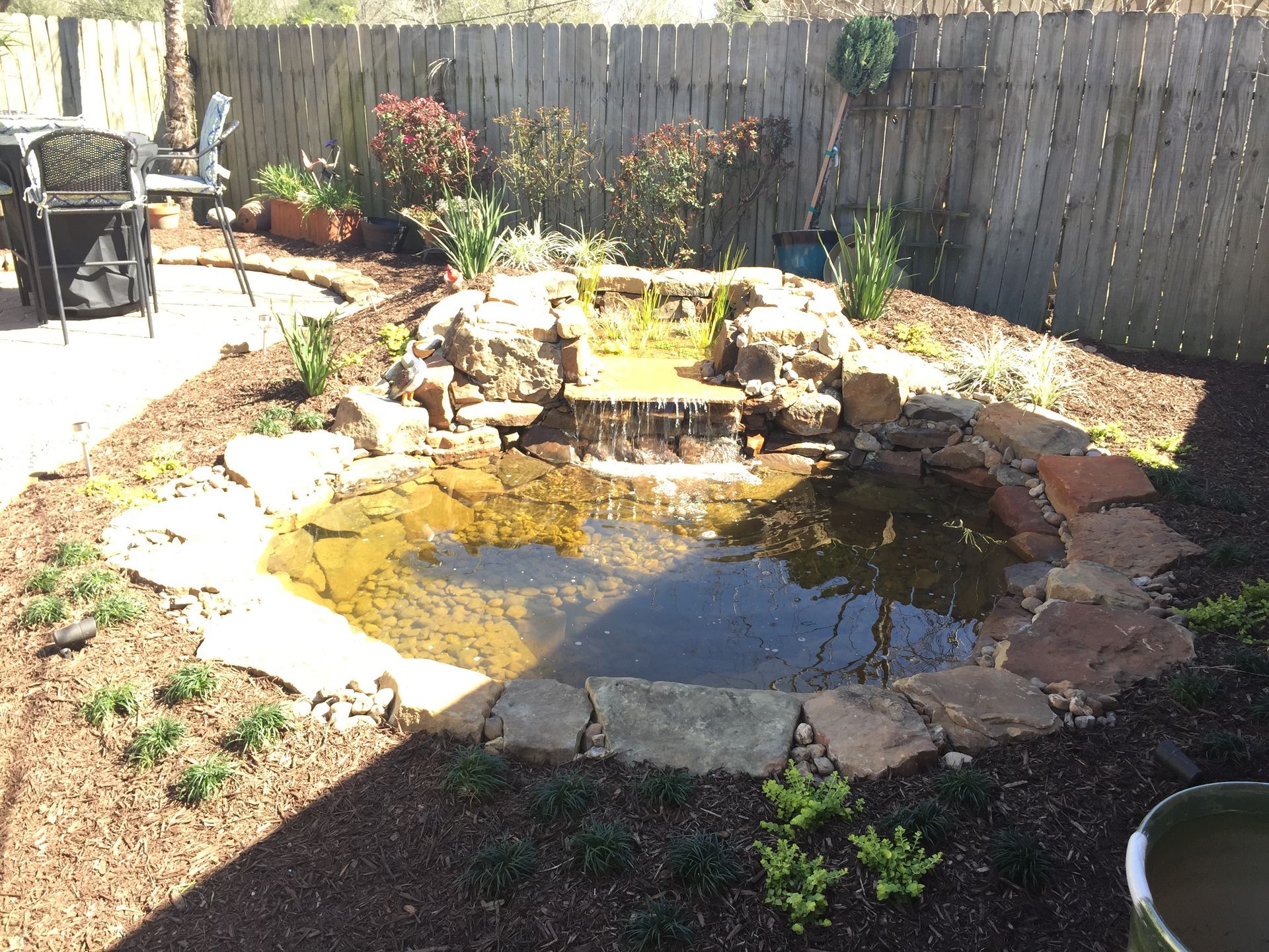 Backyard pond with rocks, water lilies, and a stone border in a fenced garden