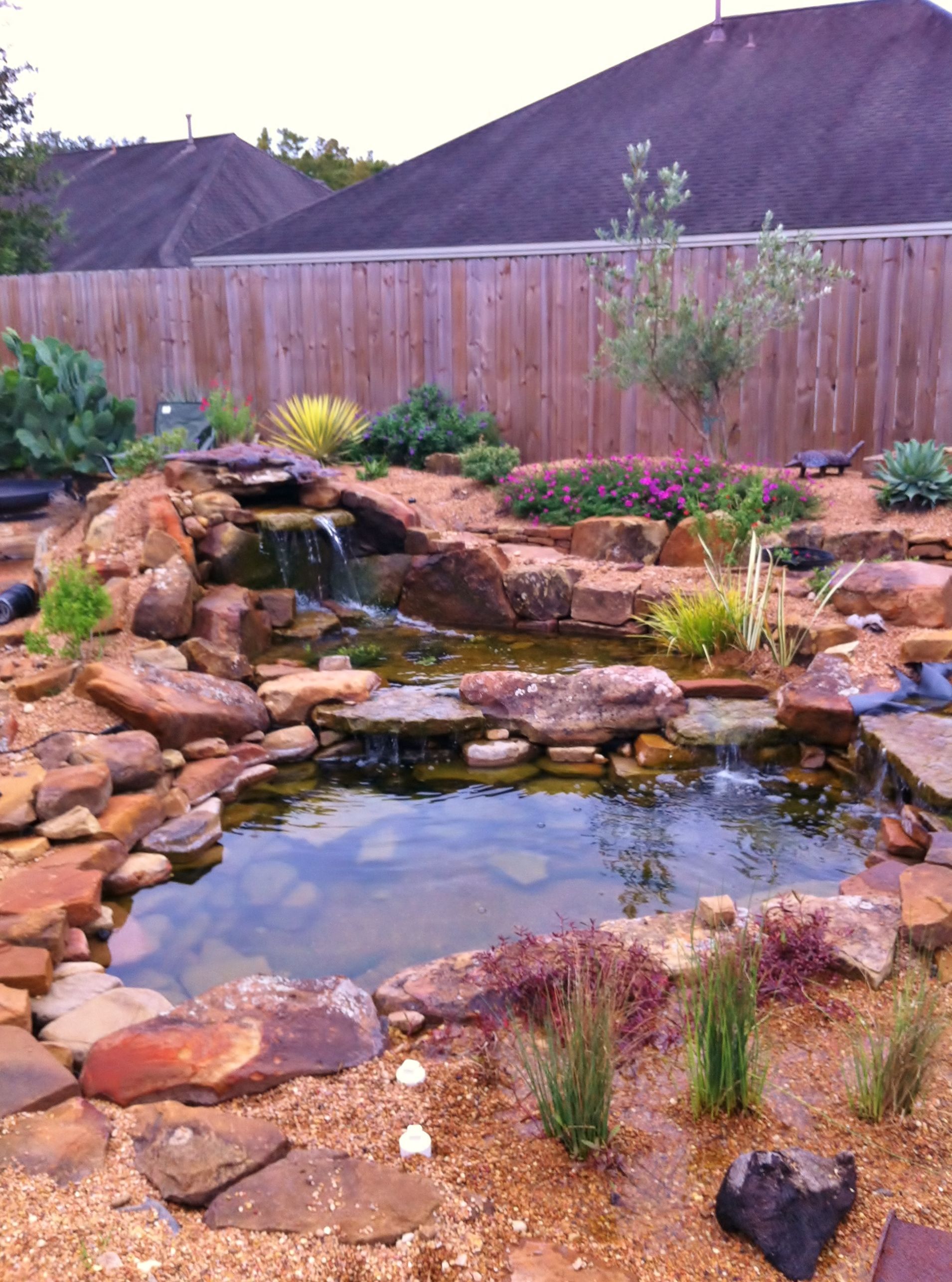 Backyard pond with rocks, water, and small plants beside a wooden fence.