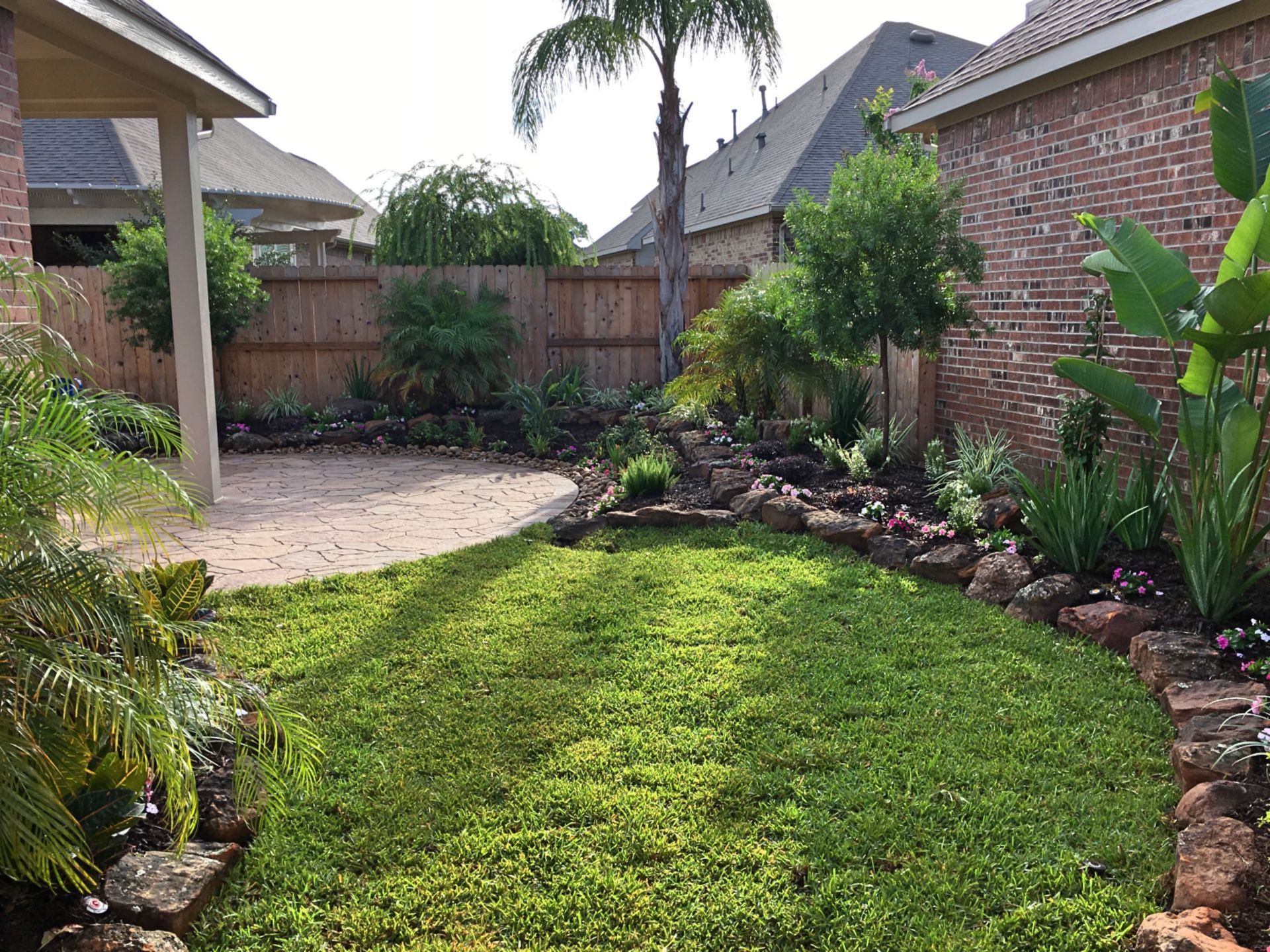Backyard with green lawn, brick house, palm trees, and a curved rock border under cloudy skies