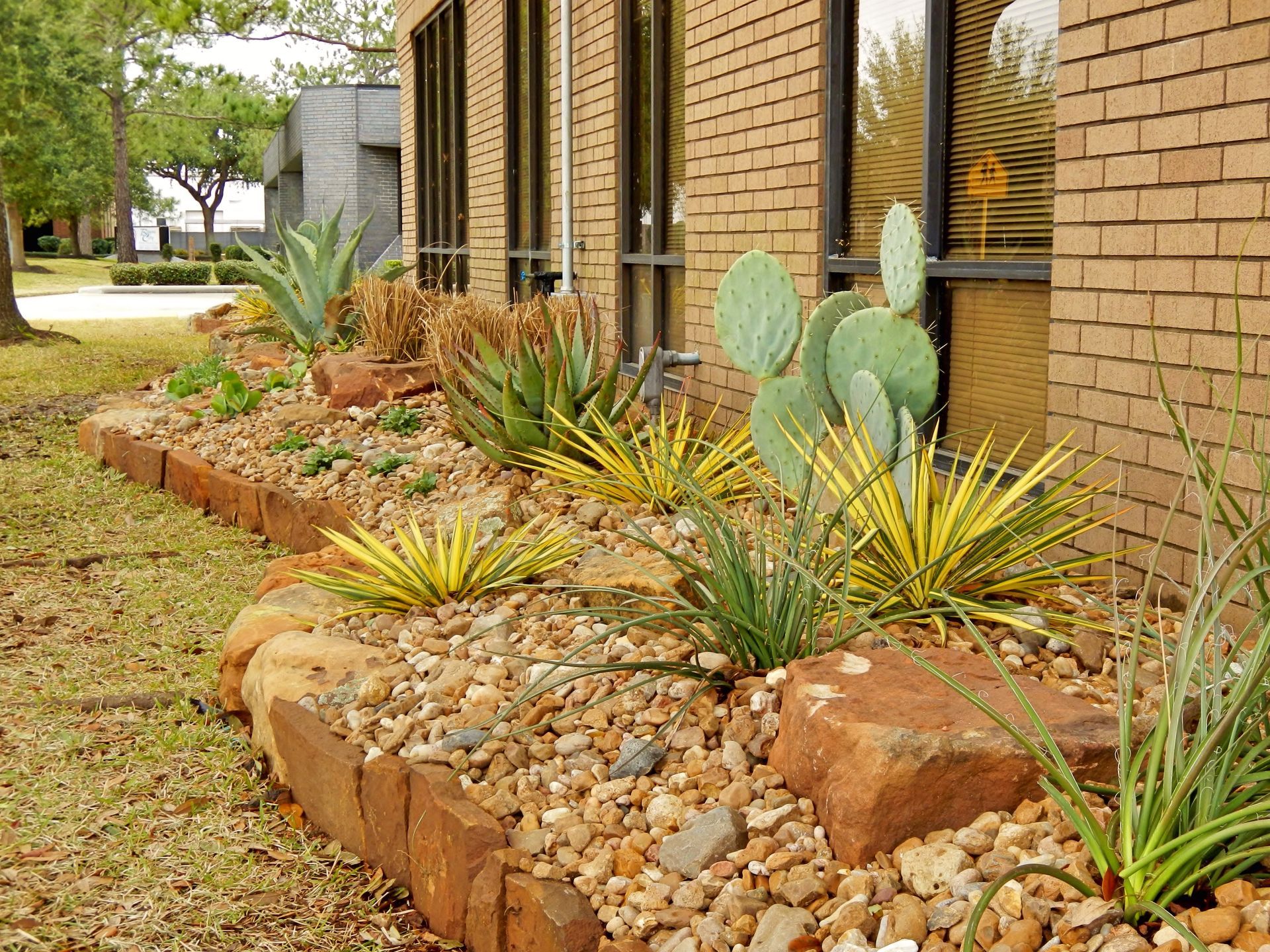 Front yard desert garden with cacti, succulents, river rocks, and brick house exterior