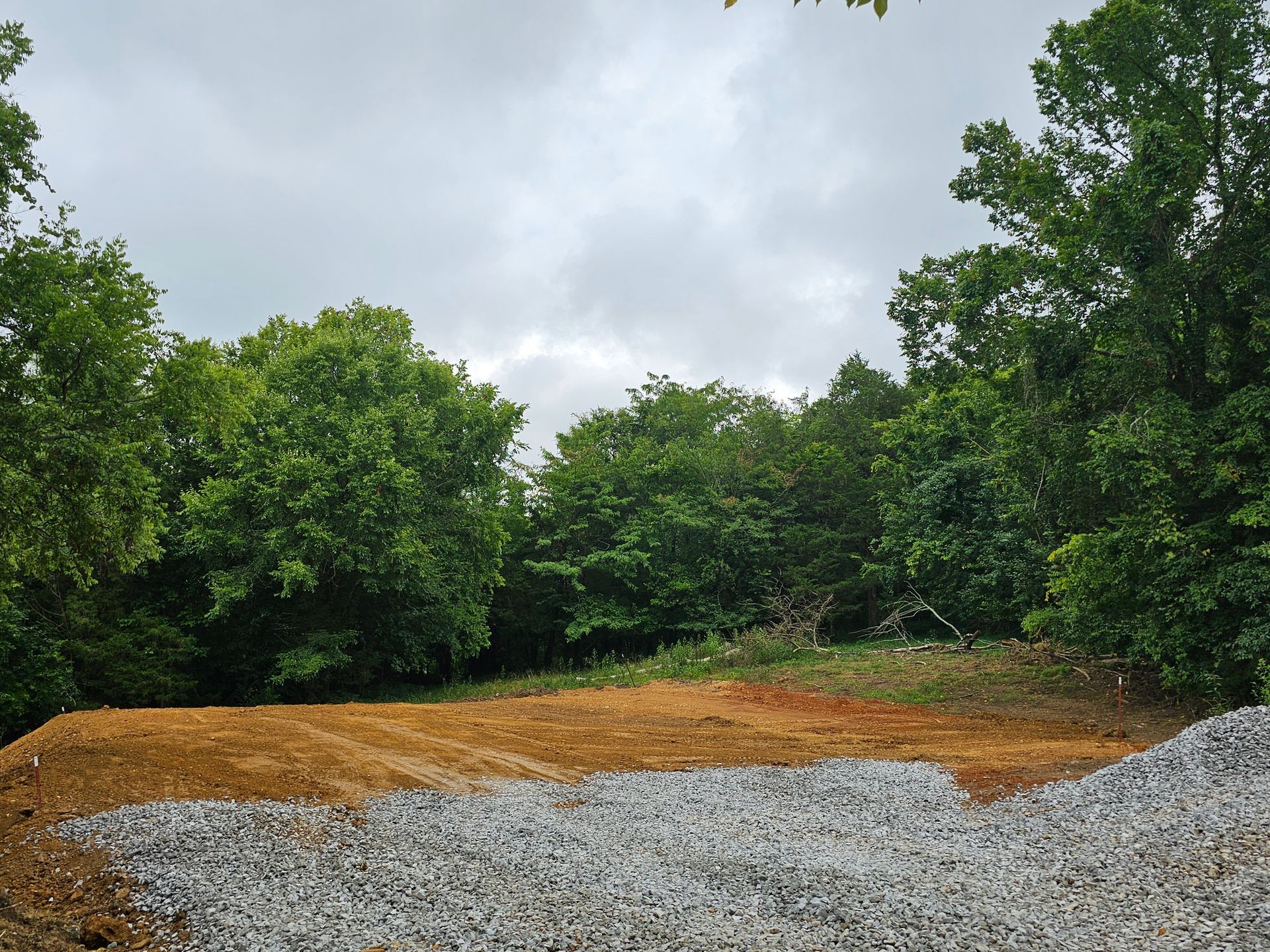 A gravel road going through a forest with trees in the background