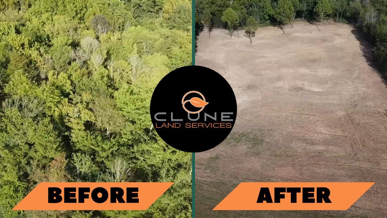 A before and after picture of a cleared land