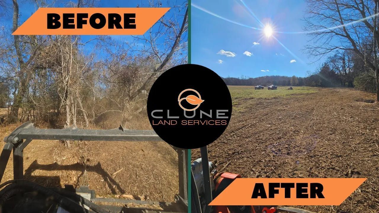 A before and after photo of land cleared of debris
