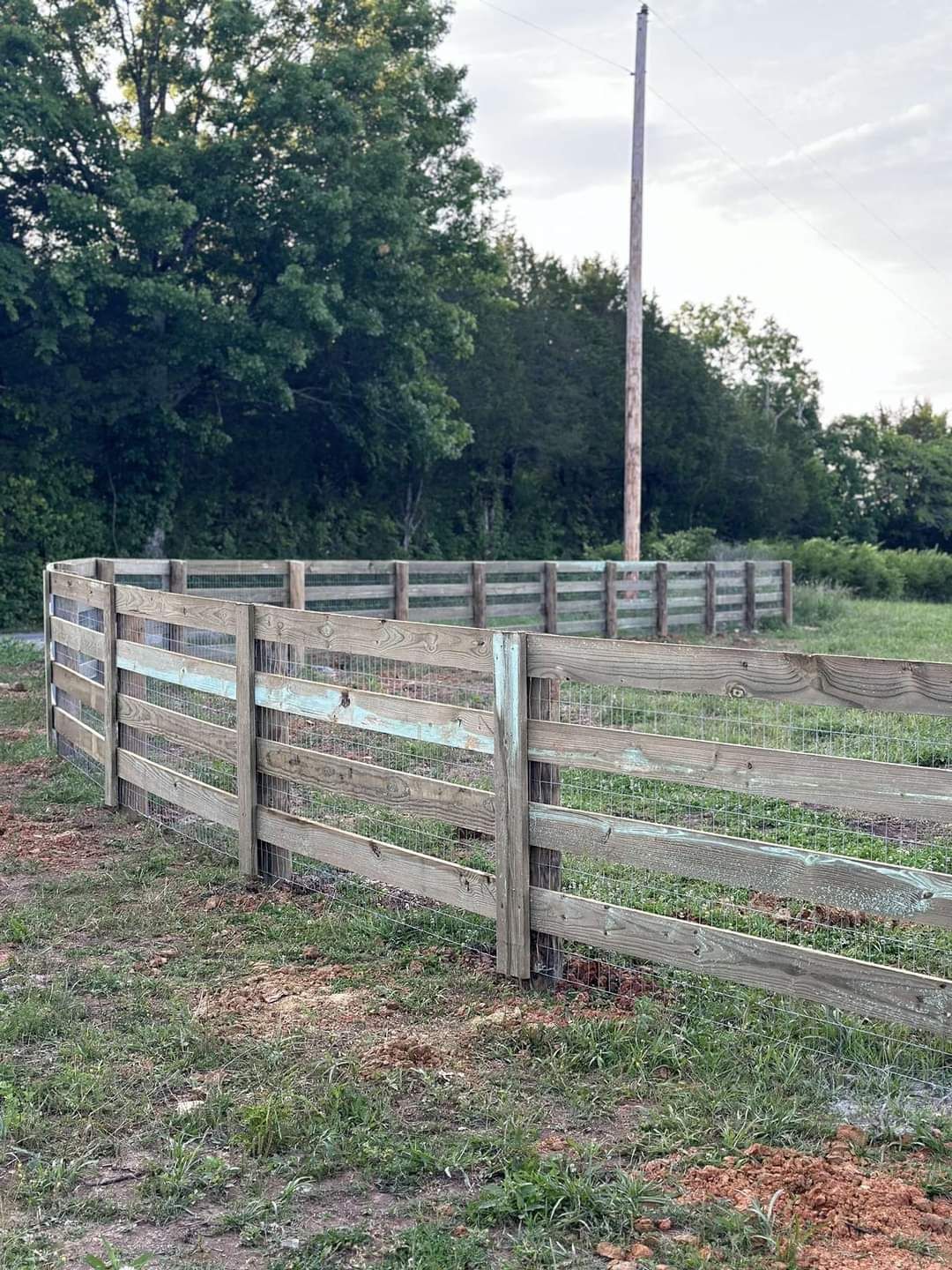 A wooden fence surrounds a grassy field with trees in the background.