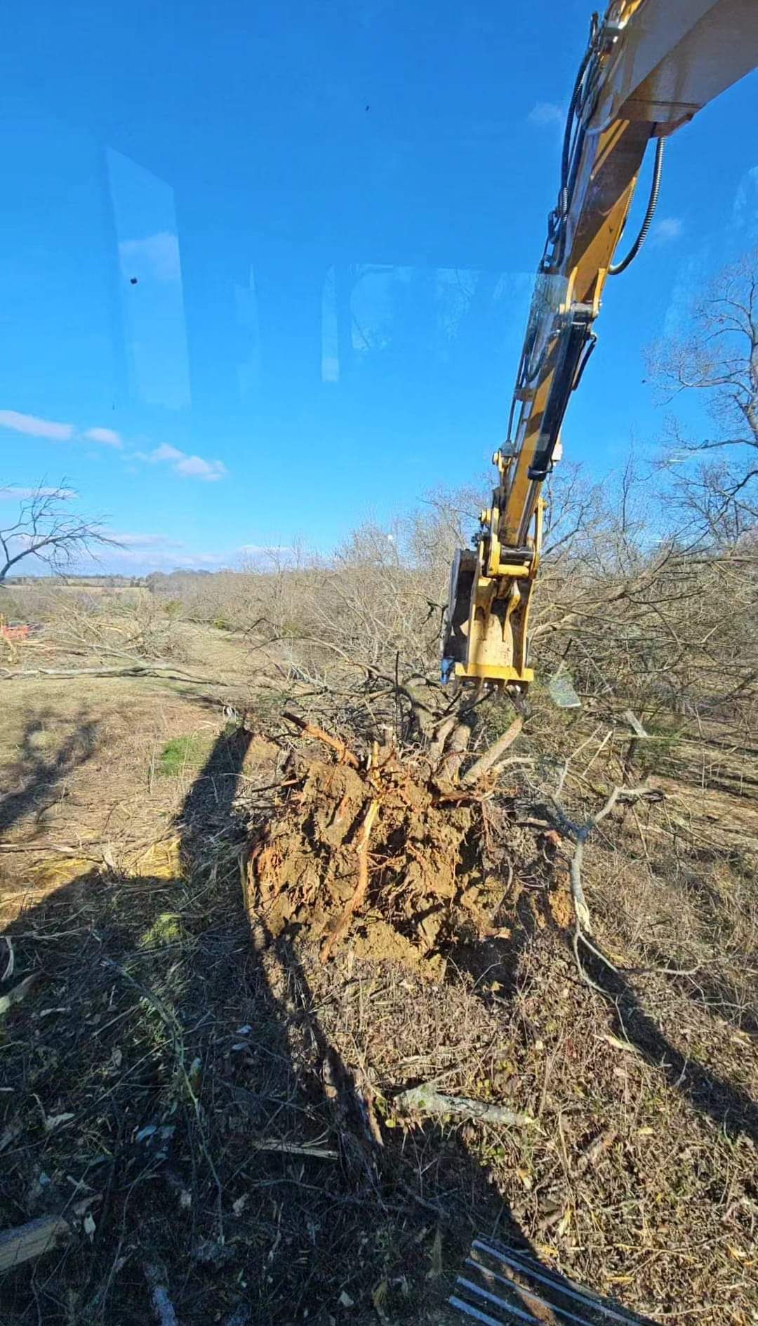 Excavator removing tree roots from a cleared area on a sunny day