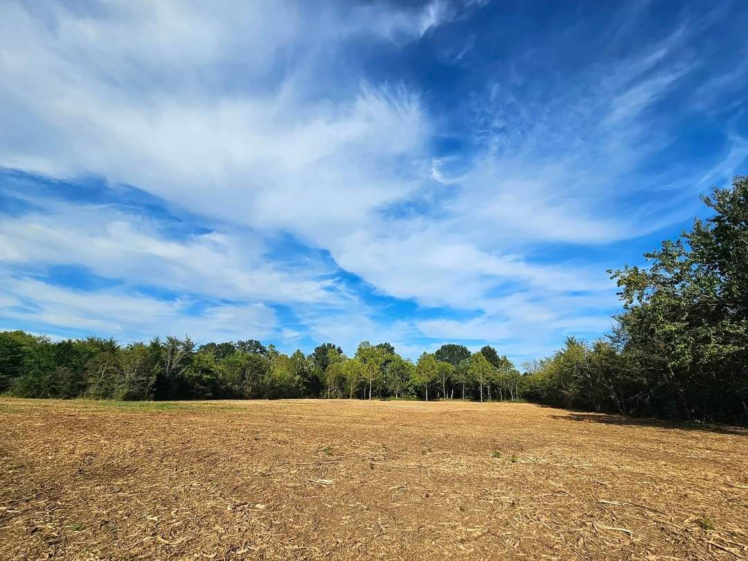 Open field of dried grass with a bright blue sky, scattered clouds, and trees bordering the edges