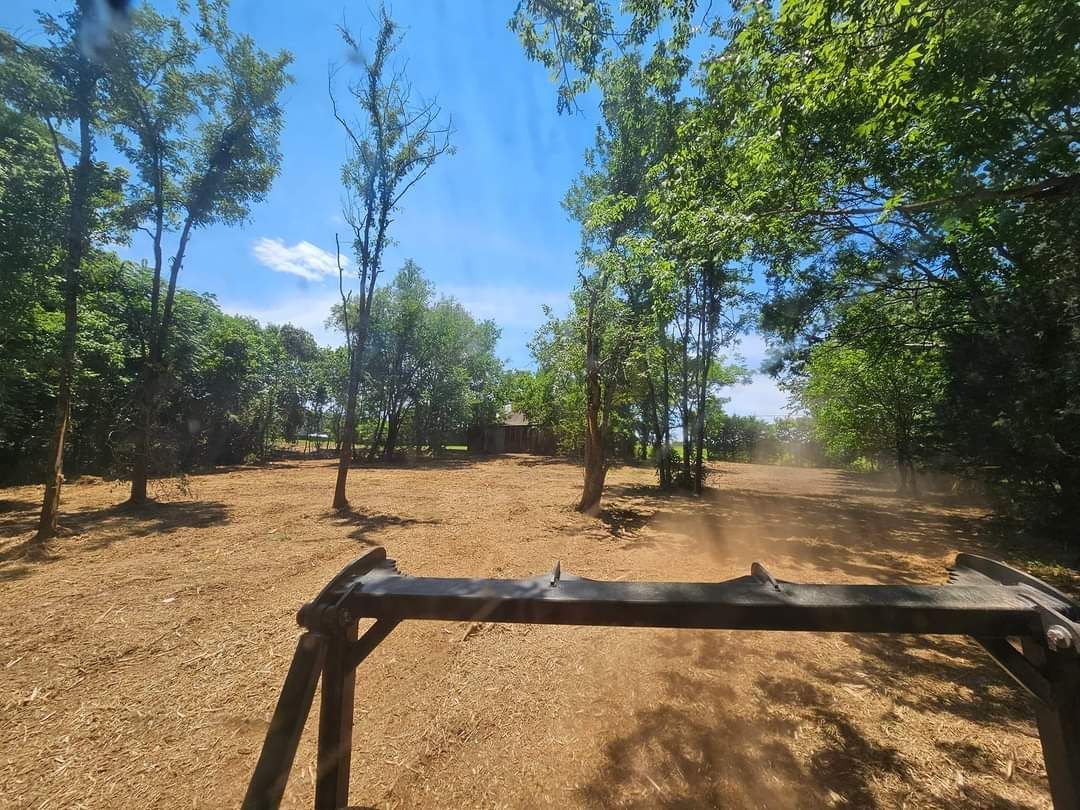 View from a vehicle traveling on a dirt path through a wooded area on a sunny day