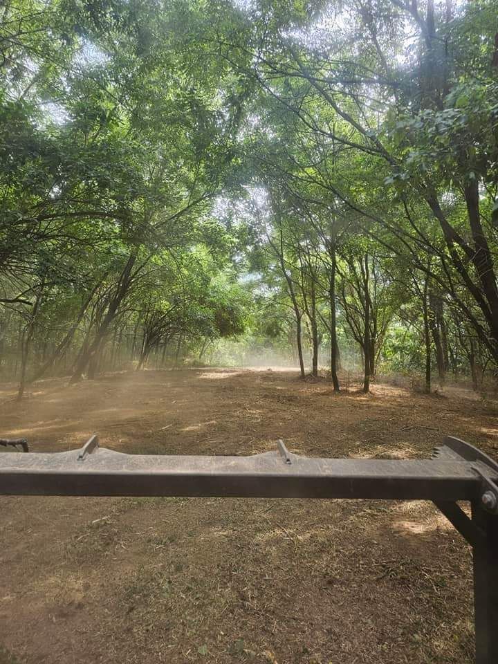 A fence in the middle of a forest with trees in the background.