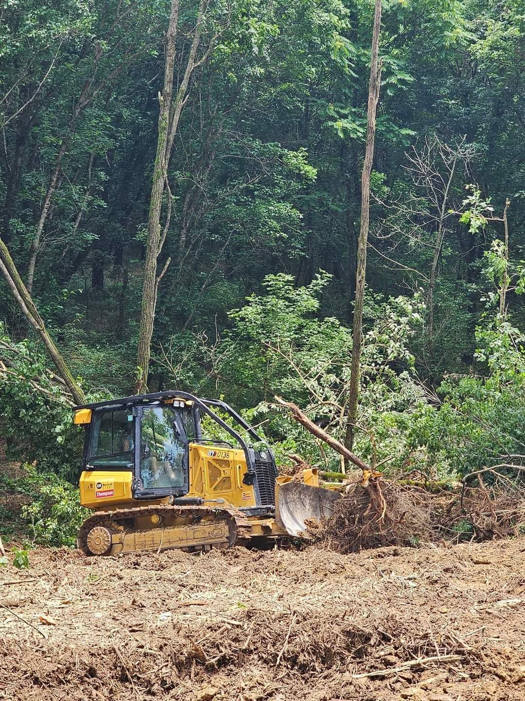 A bulldozer is cutting down trees in a forest.