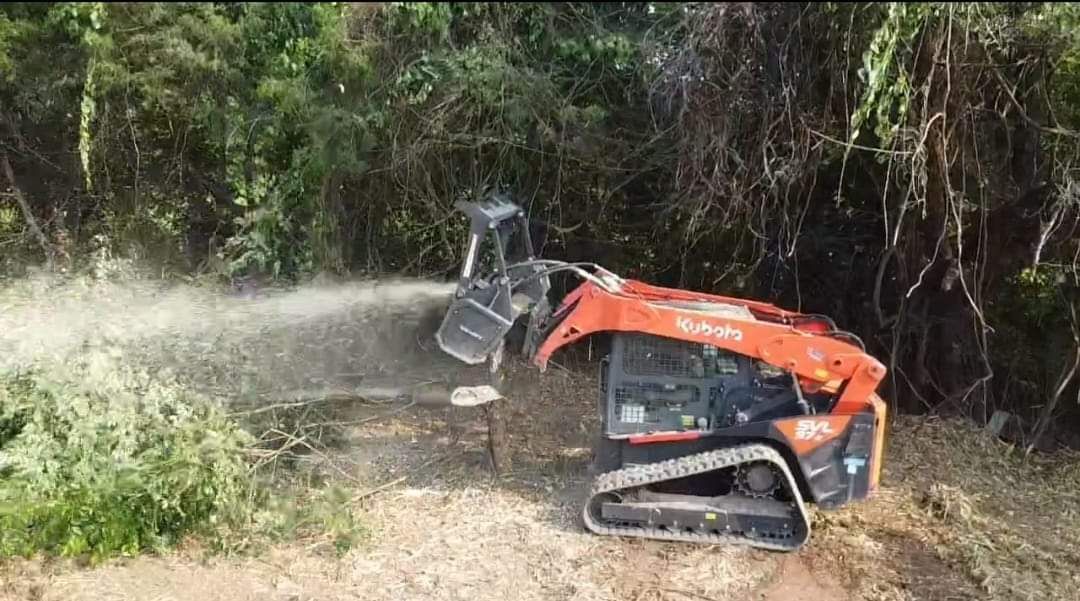 A bulldozer is cutting down trees in a forest.