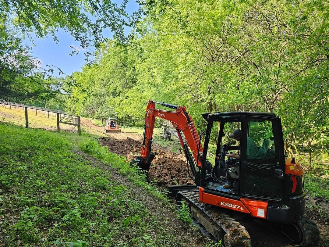 A red and black excavator is digging a hole in the woods.