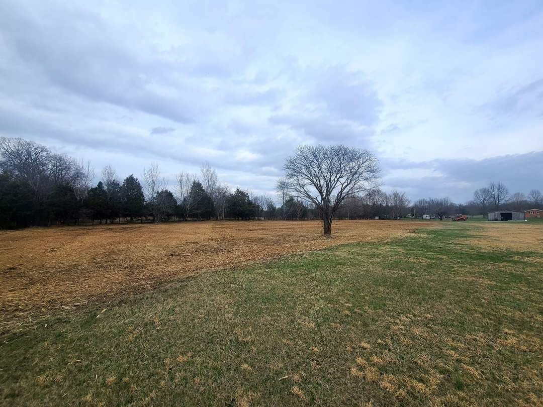 There is a tree in the middle of a field.