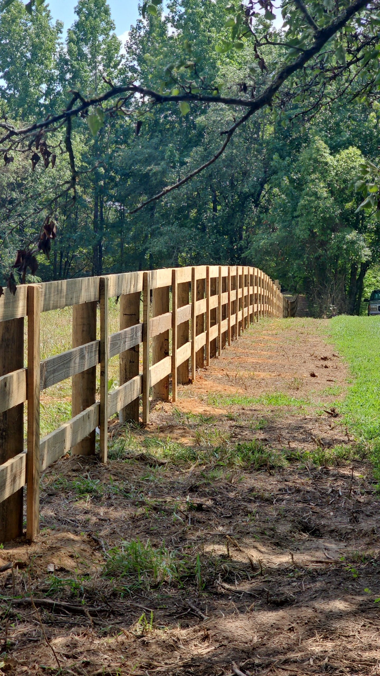 A wooden fence surrounds a grassy field with trees in the background.
