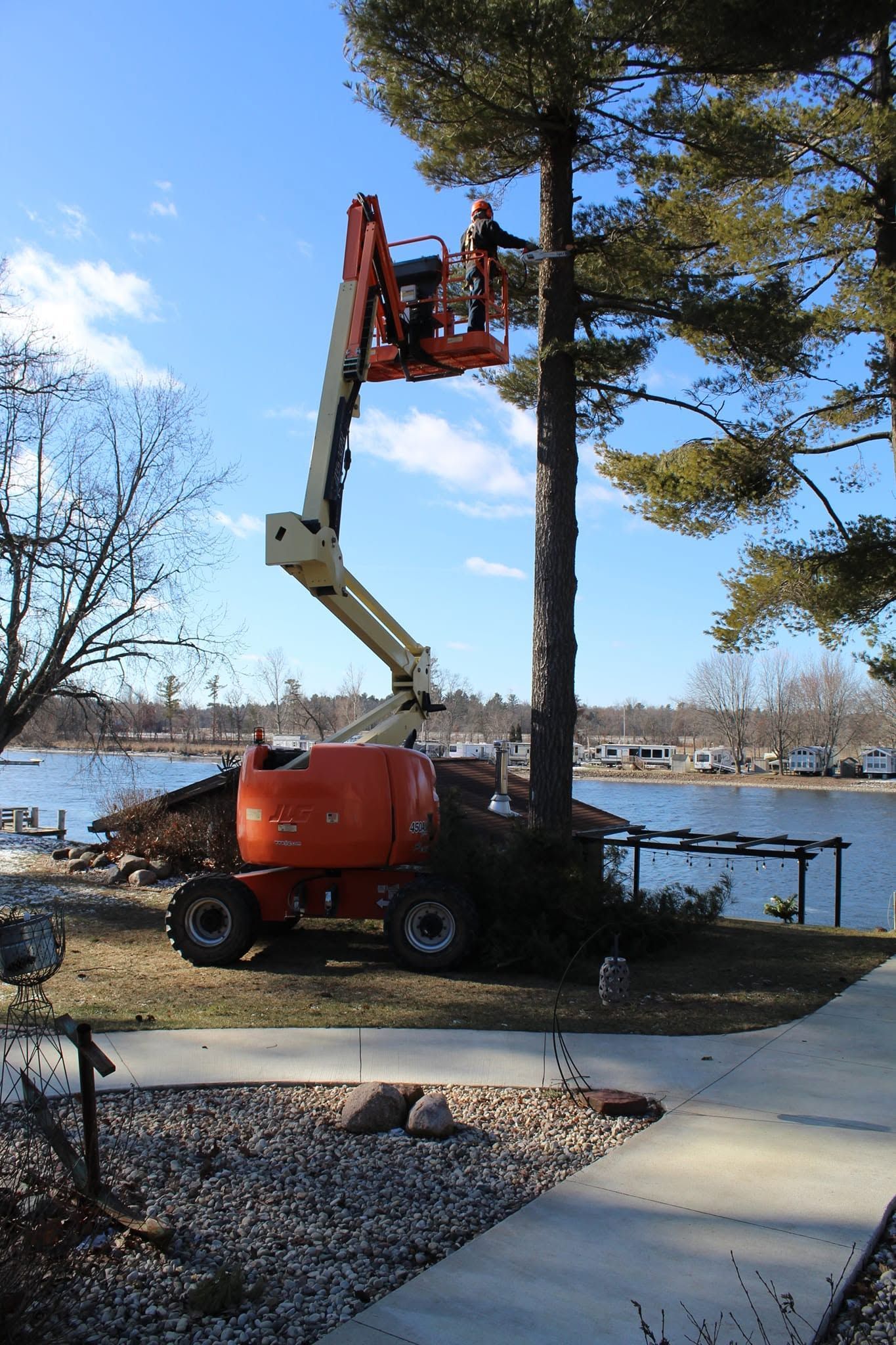 Workers in an orange lift trimming a tall tree by a waterfront on a sunny day