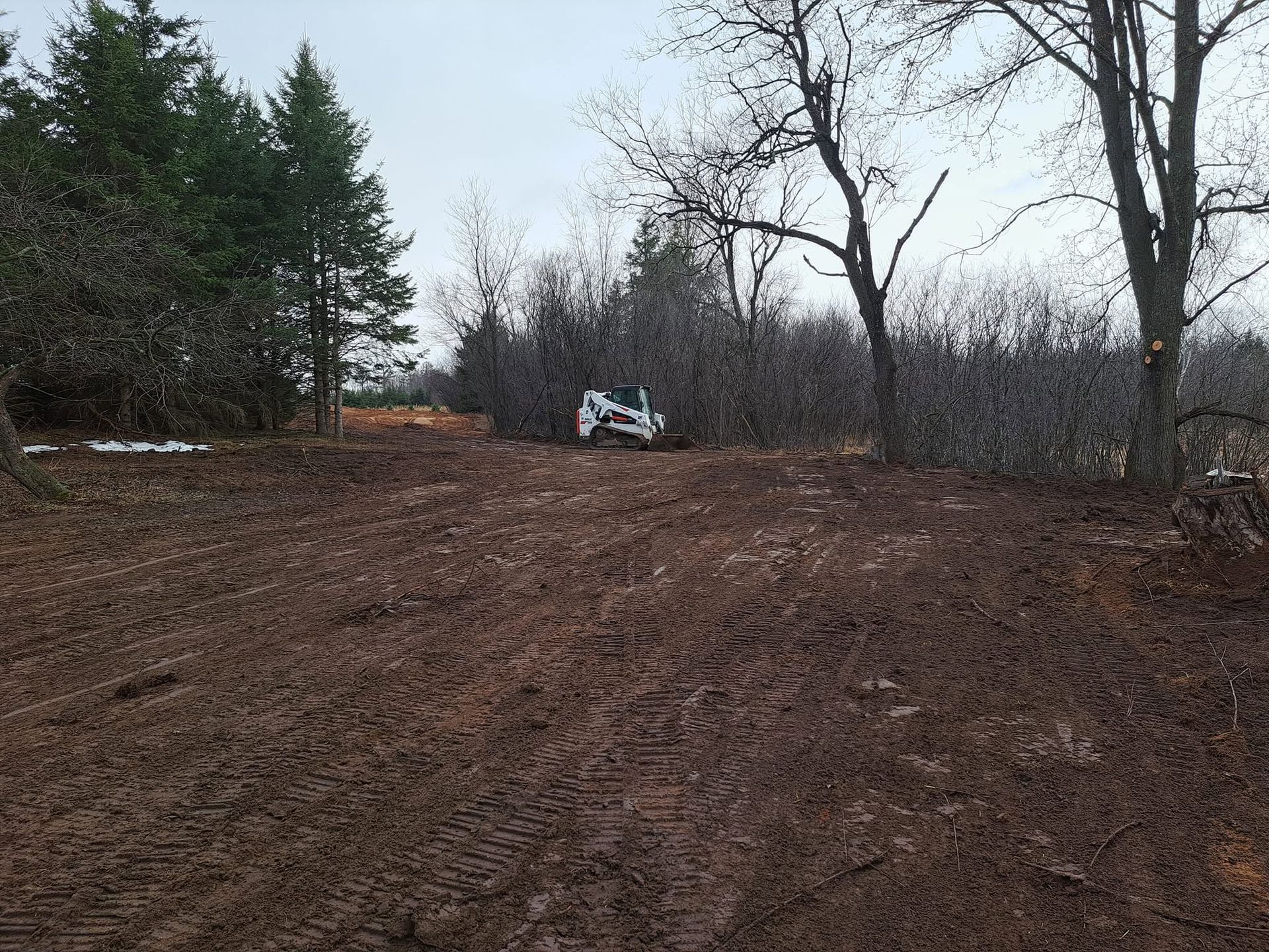 Dirt clearing with trees on both sides and a small white excavator in the distance