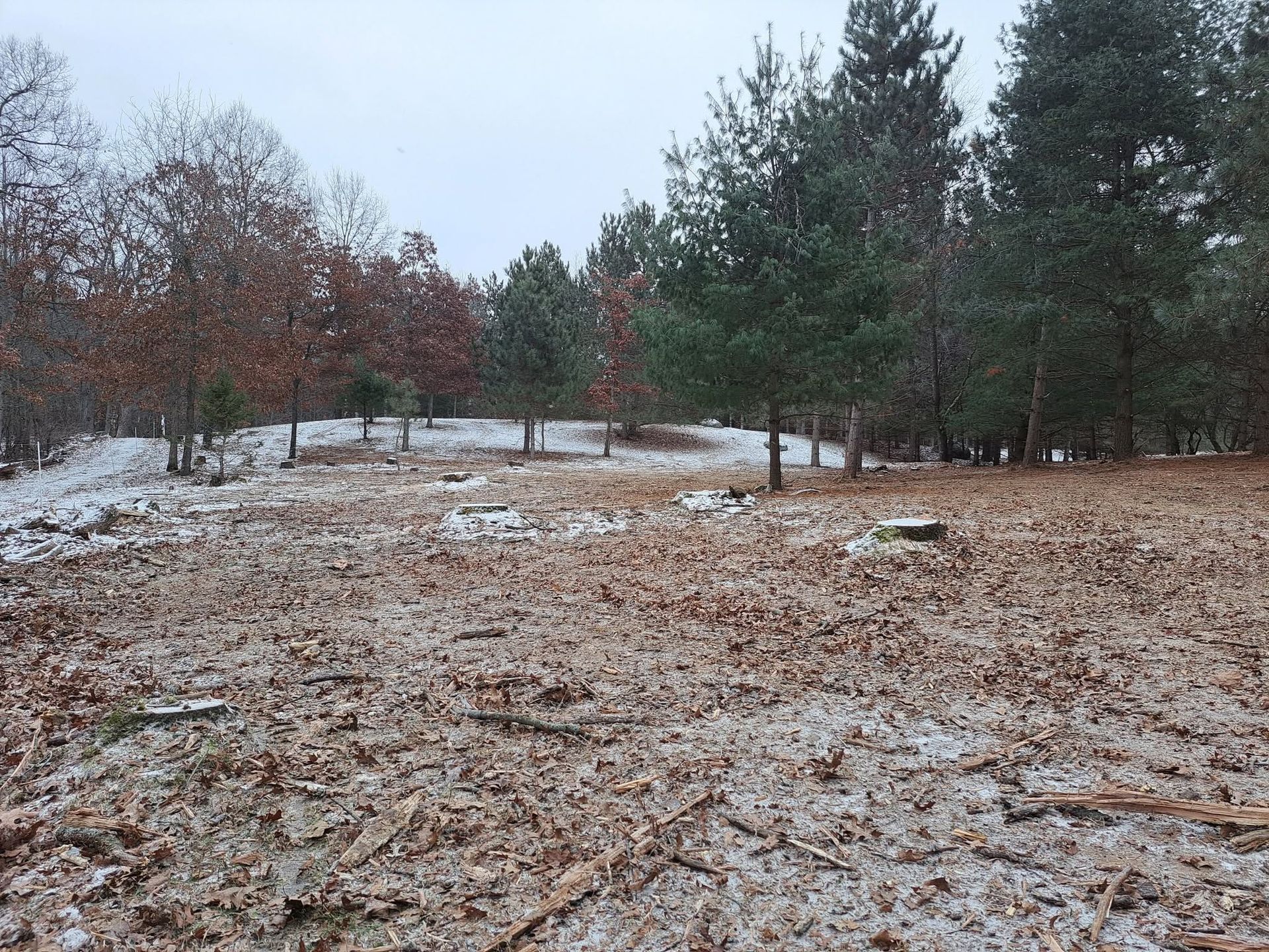 Snow-dusted open field with scattered trees under an overcast sky