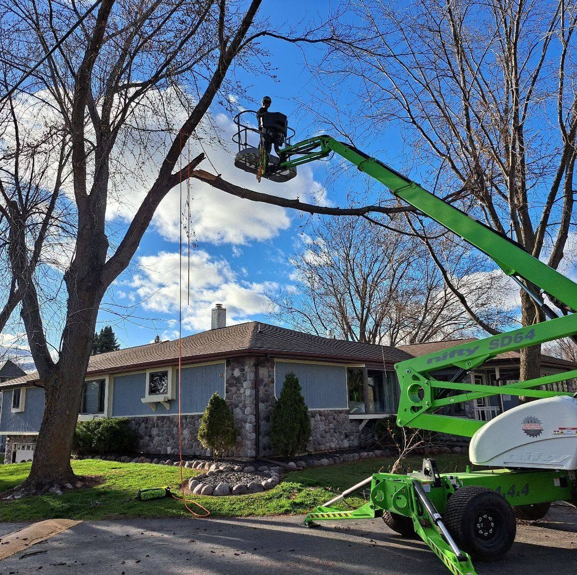 Worker in a green cherry picker trimming tree branches above a house on a sunny day