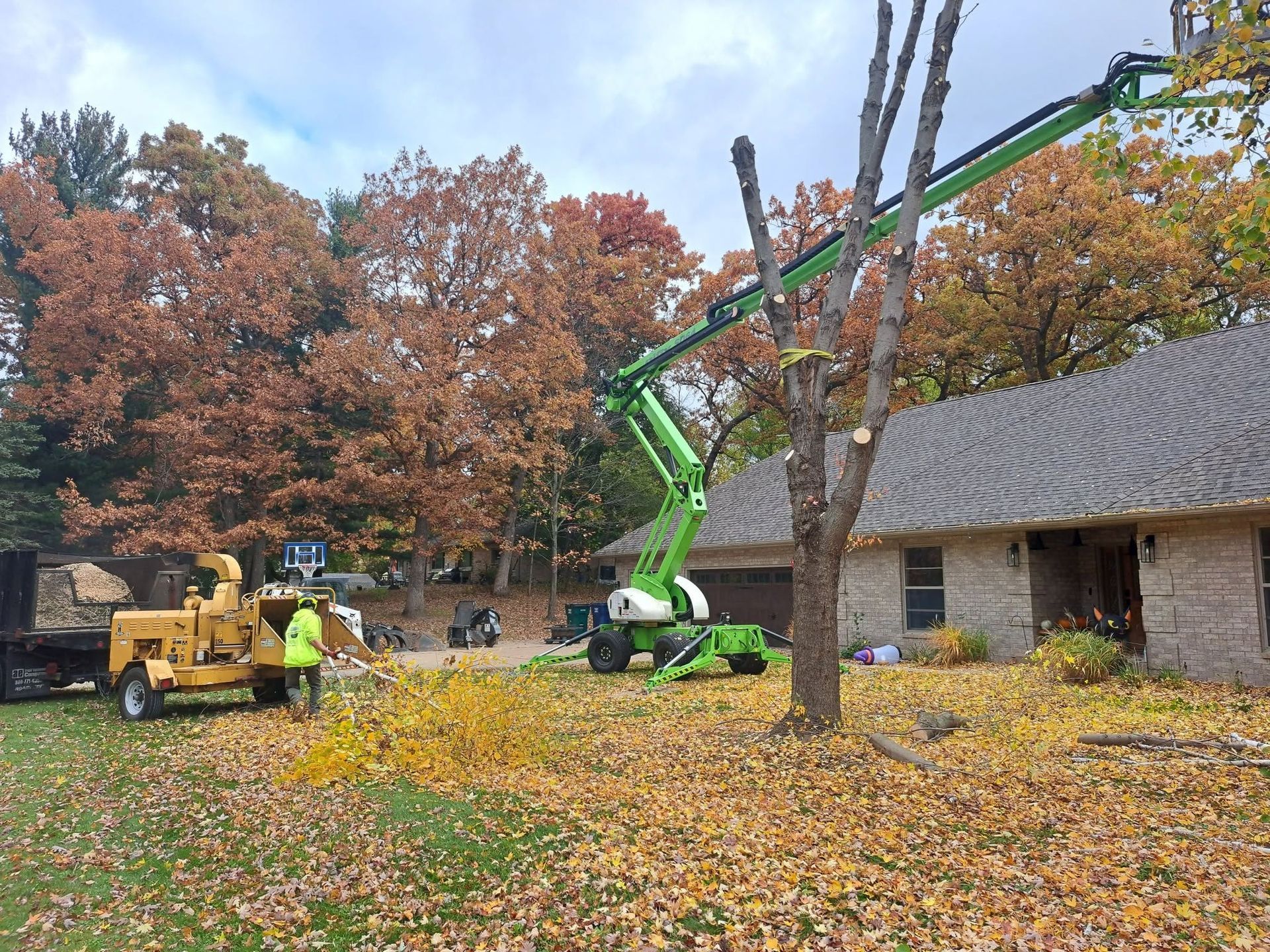Workers with a green lift and yellow truck clearing autumn leaves beside a house and trees
