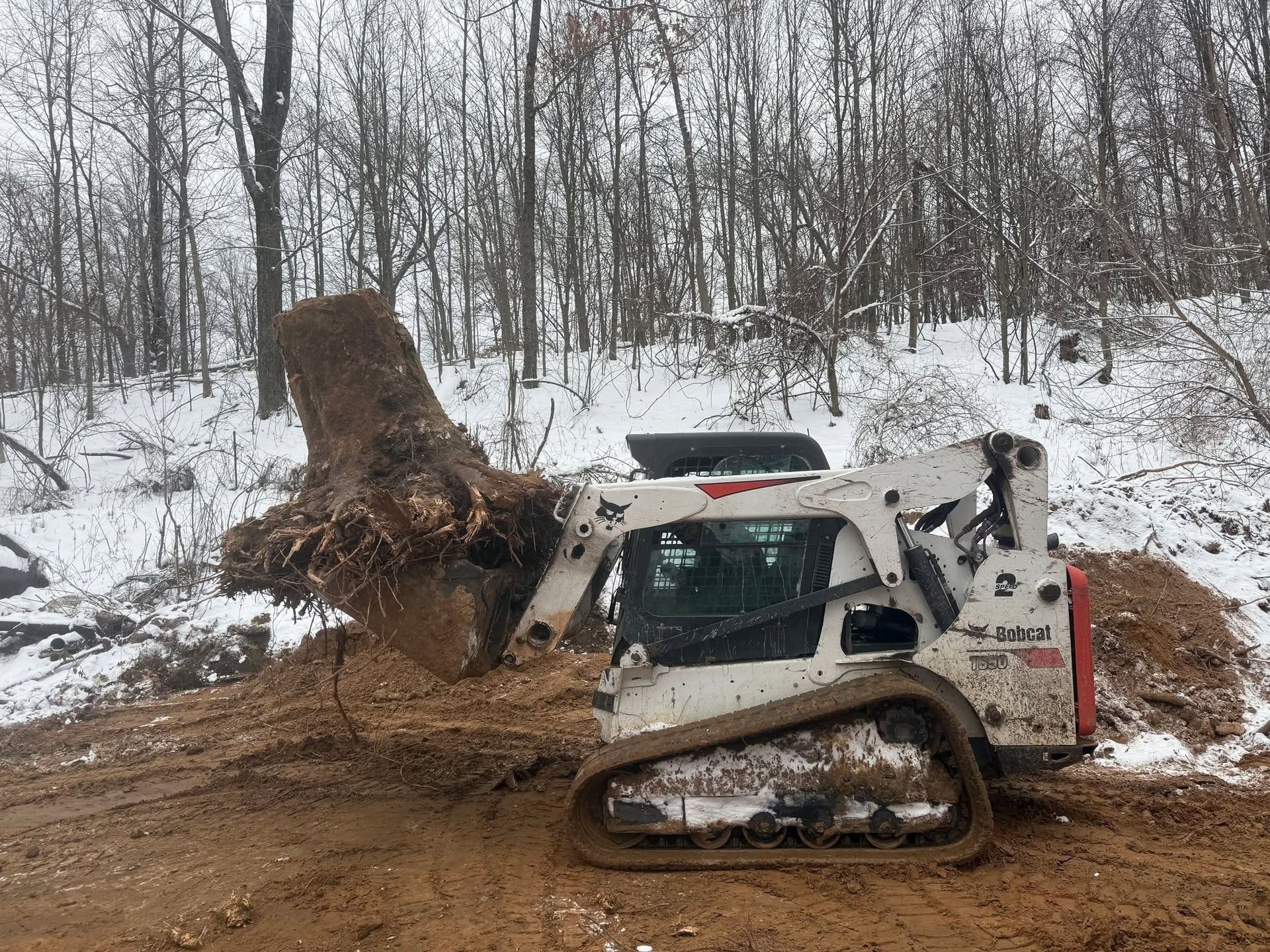 Bulldozer lifting a large tree stump in a snowy wooded area